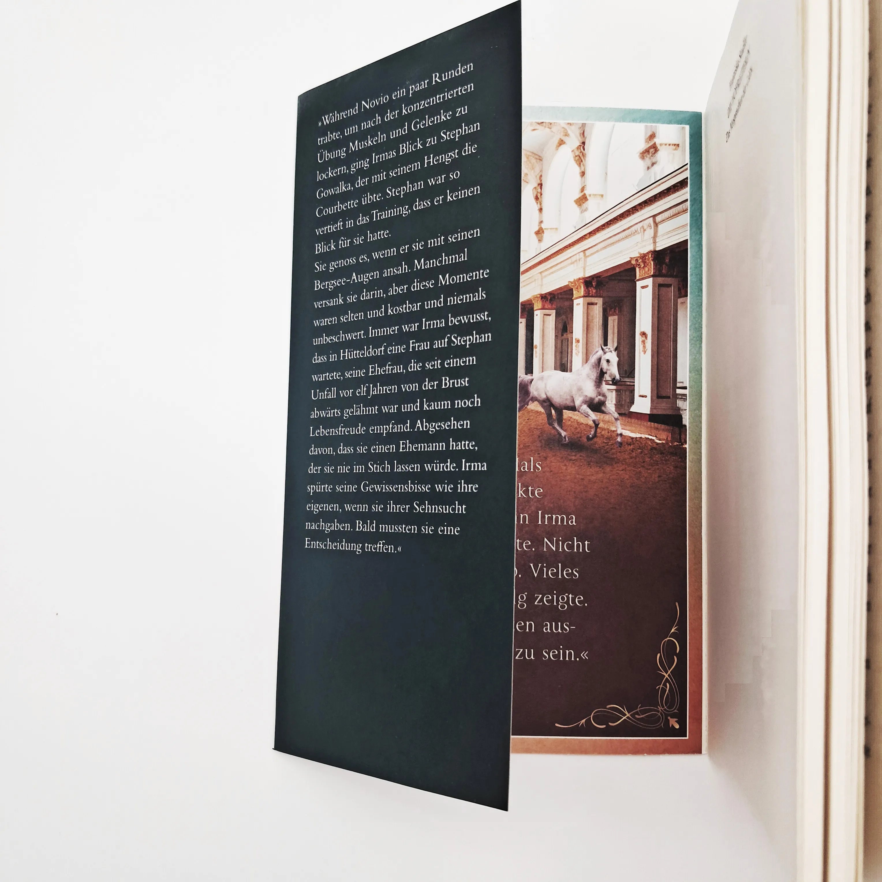 Abbildung von 'Die Hofreiterin – Das Versprechen der Liebe'
