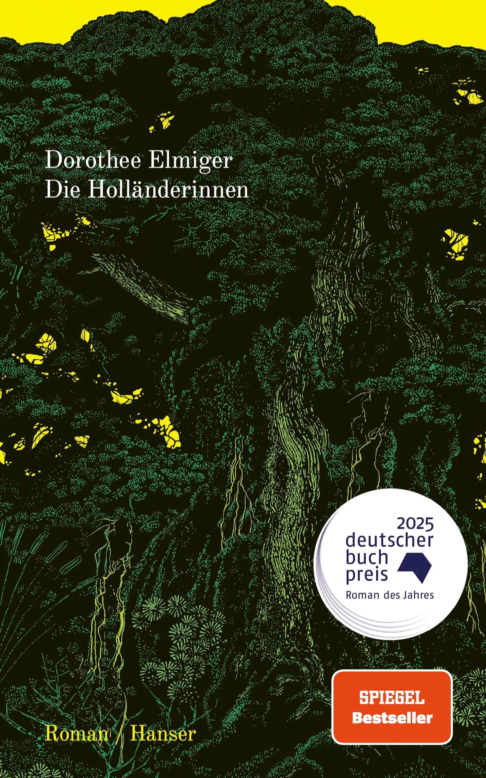Buchcover von 'Die Holländerinnen' - Gebundene Ausgabe von Dorothee Elmiger