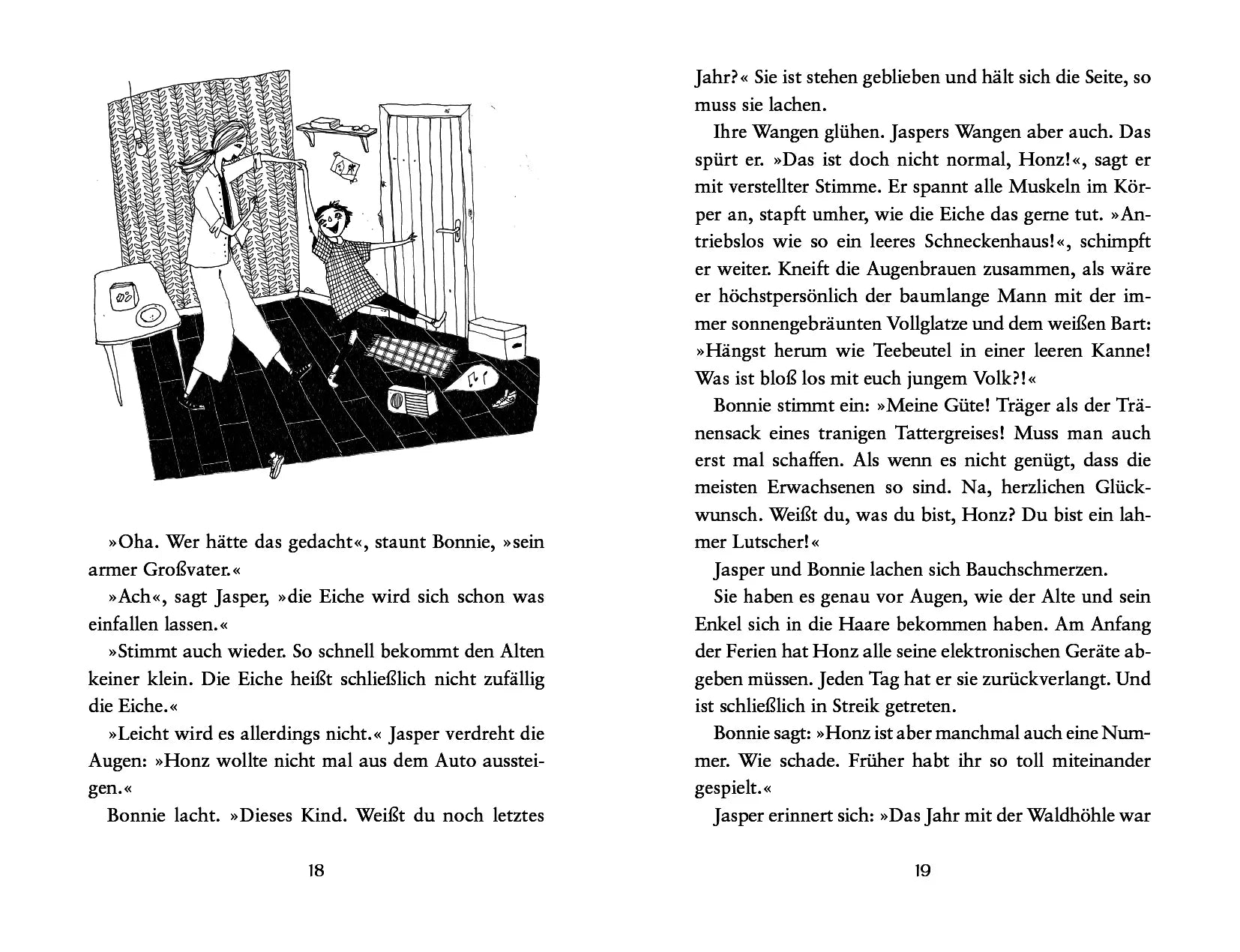 Produktansicht: Die Insel der Schlasocks (Gebundene Ausgabe)