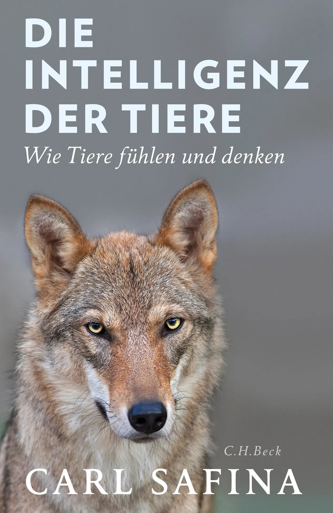 Buchcover von 'Die Intelligenz der Tiere' - Gebundene Ausgabe von Carl Safina