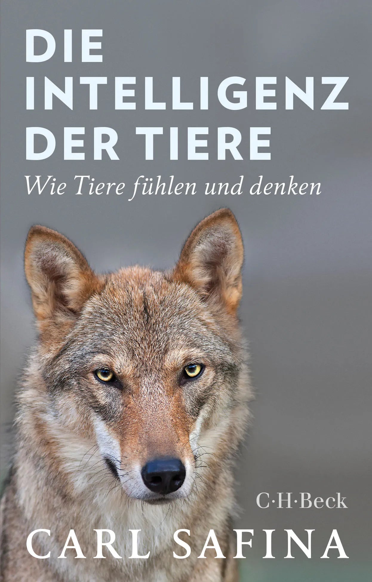 Buchcover von 'Die Intelligenz der Tiere' - Taschenbuch von Carl Safina