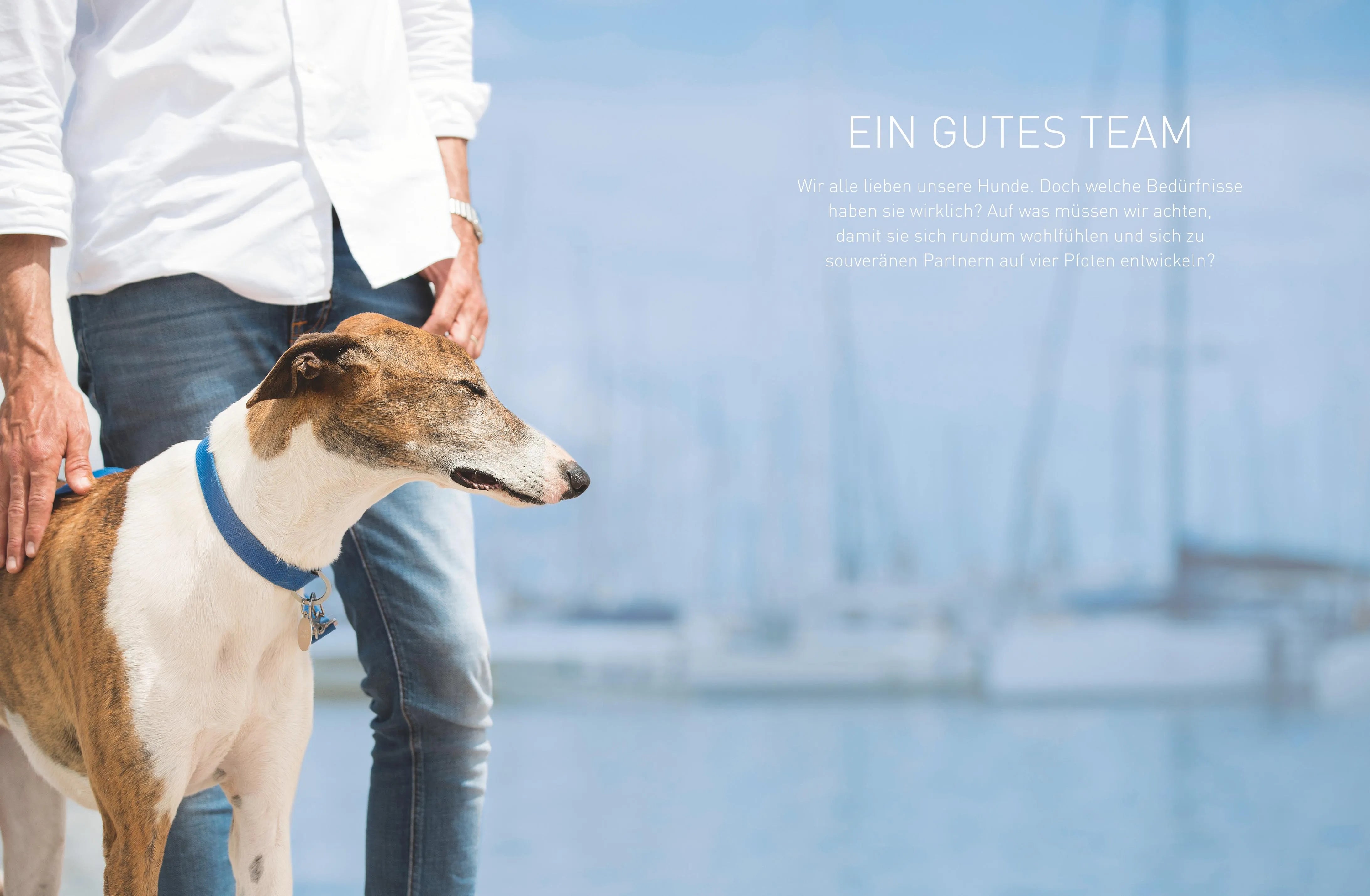José Arce - Die José-Arce-Methode: Liebe Deinen Hund. Wie Sie beim Gassigehen die Beziehung stärken
