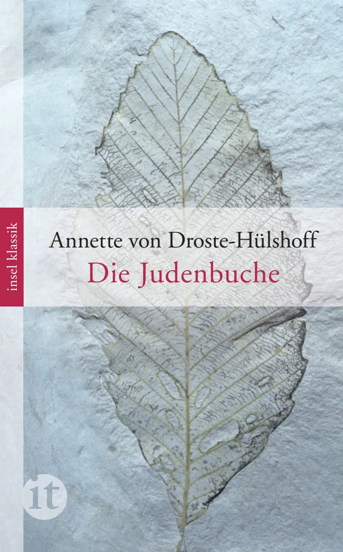 Buchcover von 'Die Judenbuche' - Taschenbuch von Annette Droste-Hülshoff