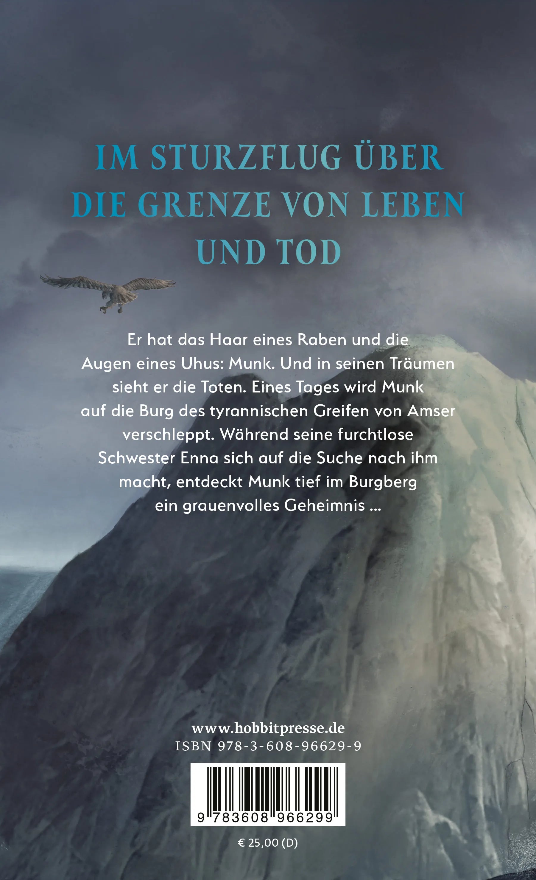 Buchrückseite von 'Die Kathedrale der Vögel' mit Klappentext - Gebundene Ausgabe
