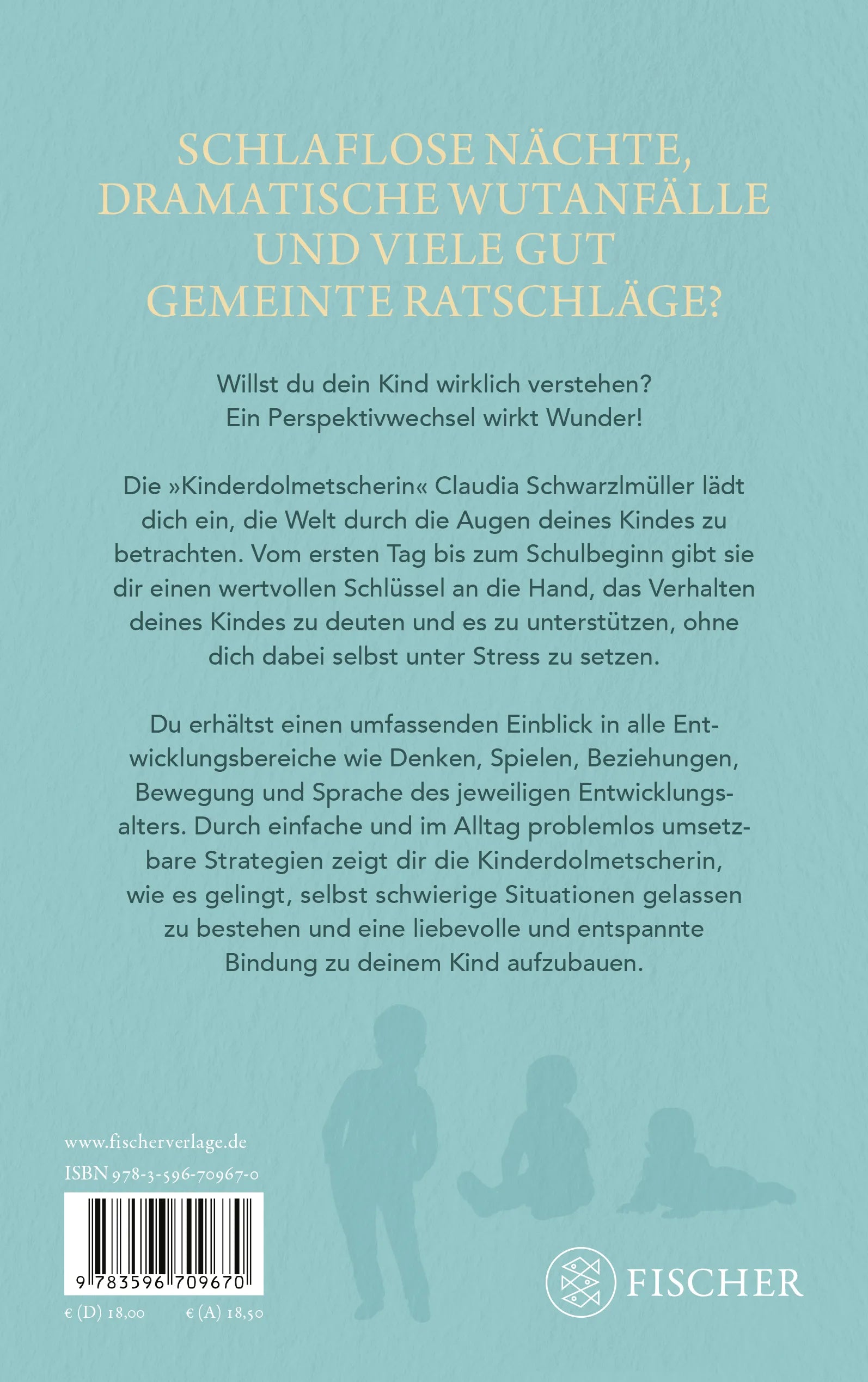 Buchrückseite von 'Die Kinderdolmetscherin' mit Klappentext - Paperback