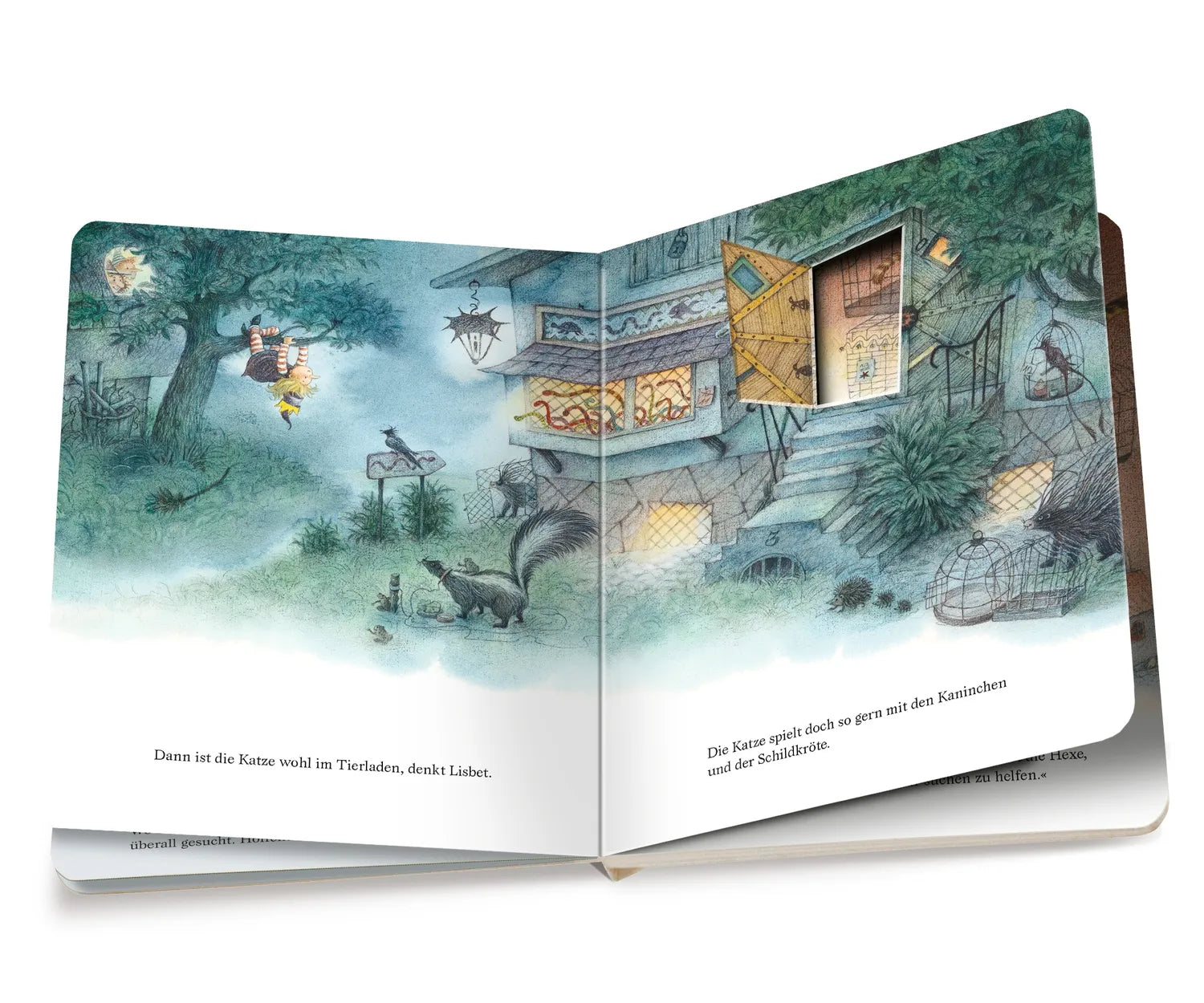 Detailansicht: Die kleine Hexe hat Geburtstag (Hardcover)