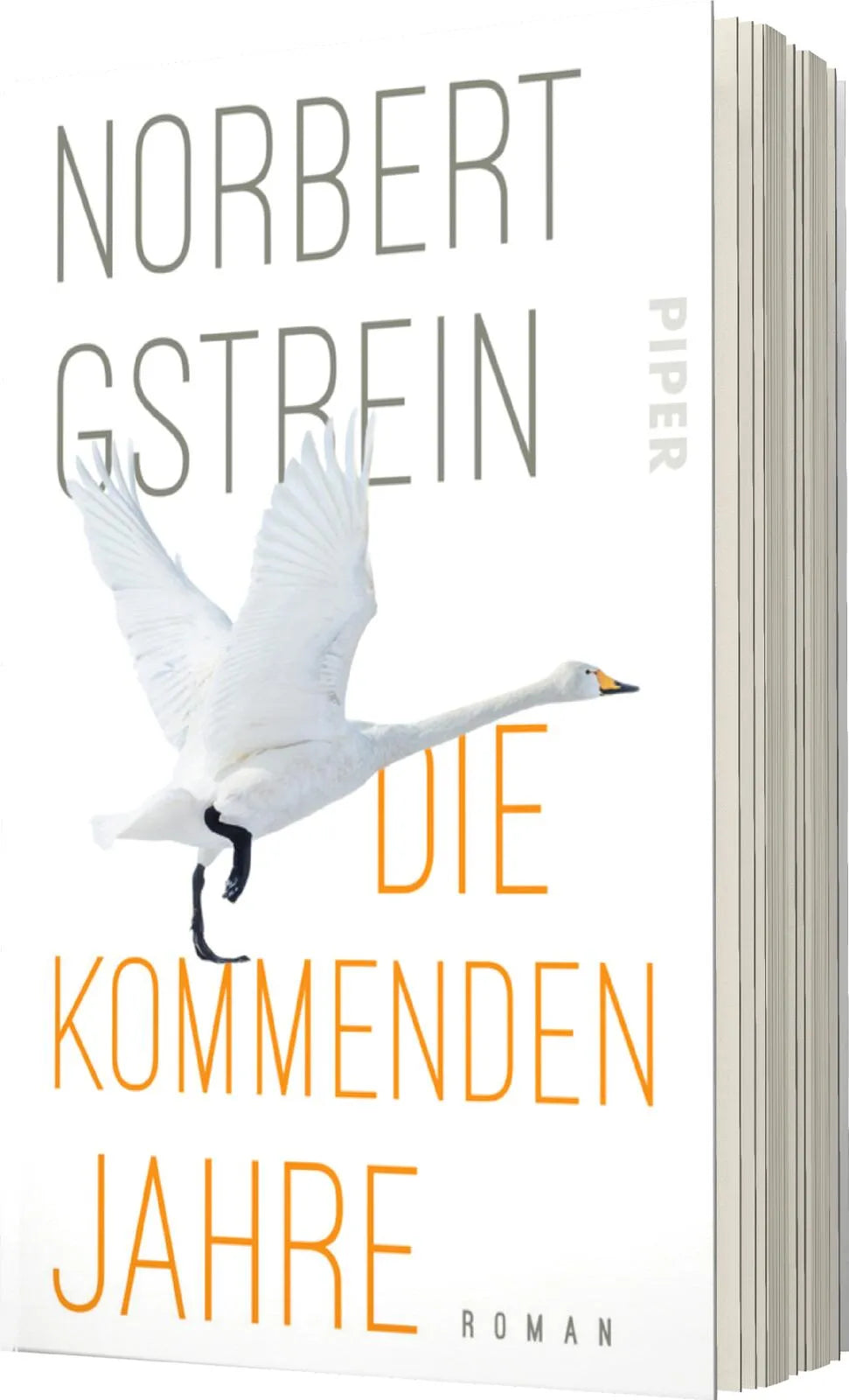 Norbert Gstrein - Die kommenden Jahre