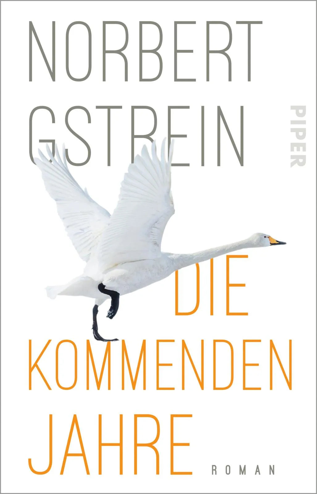 Buchcover von 'Die kommenden Jahre' - Taschenbuch von Norbert Gstrein