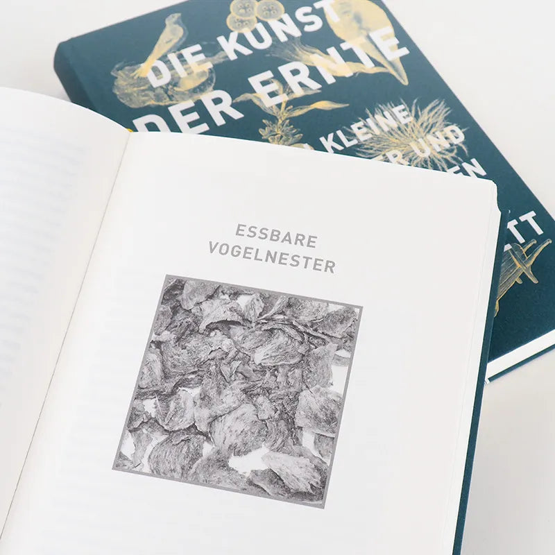 Abbildung von 'Die Kunst der Ernte'