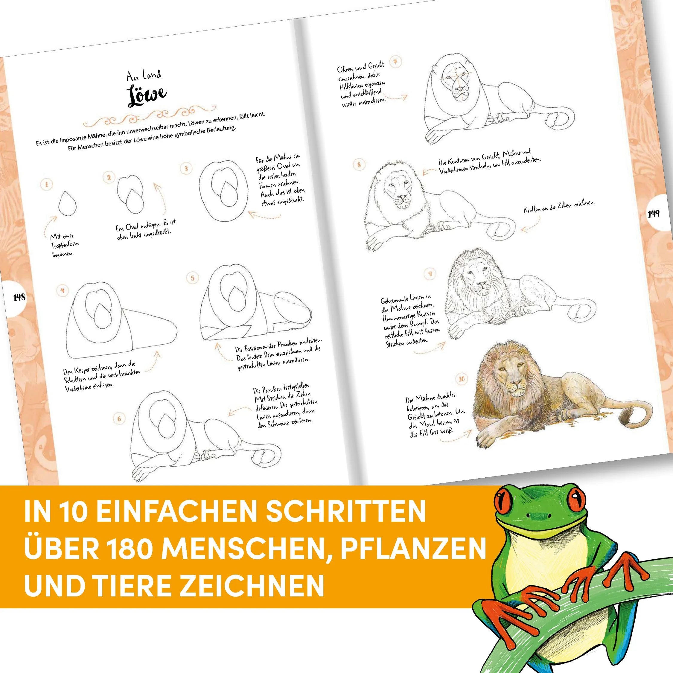 Detailansicht: Die Kunst des Zeichnens 10 Steps - Die große Sammlung (Taschenbuch)