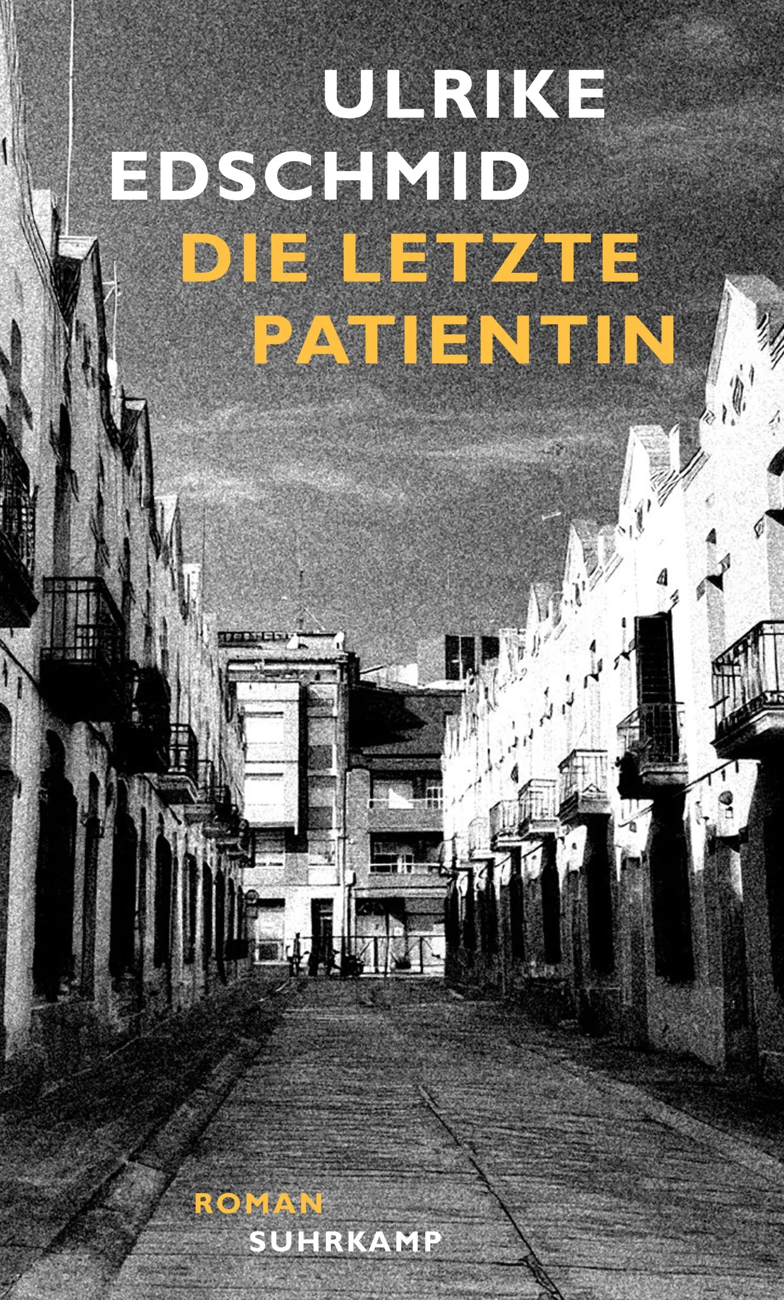 Cover: Die letzte Patientin (E-Book) von Ulrike Edschmid