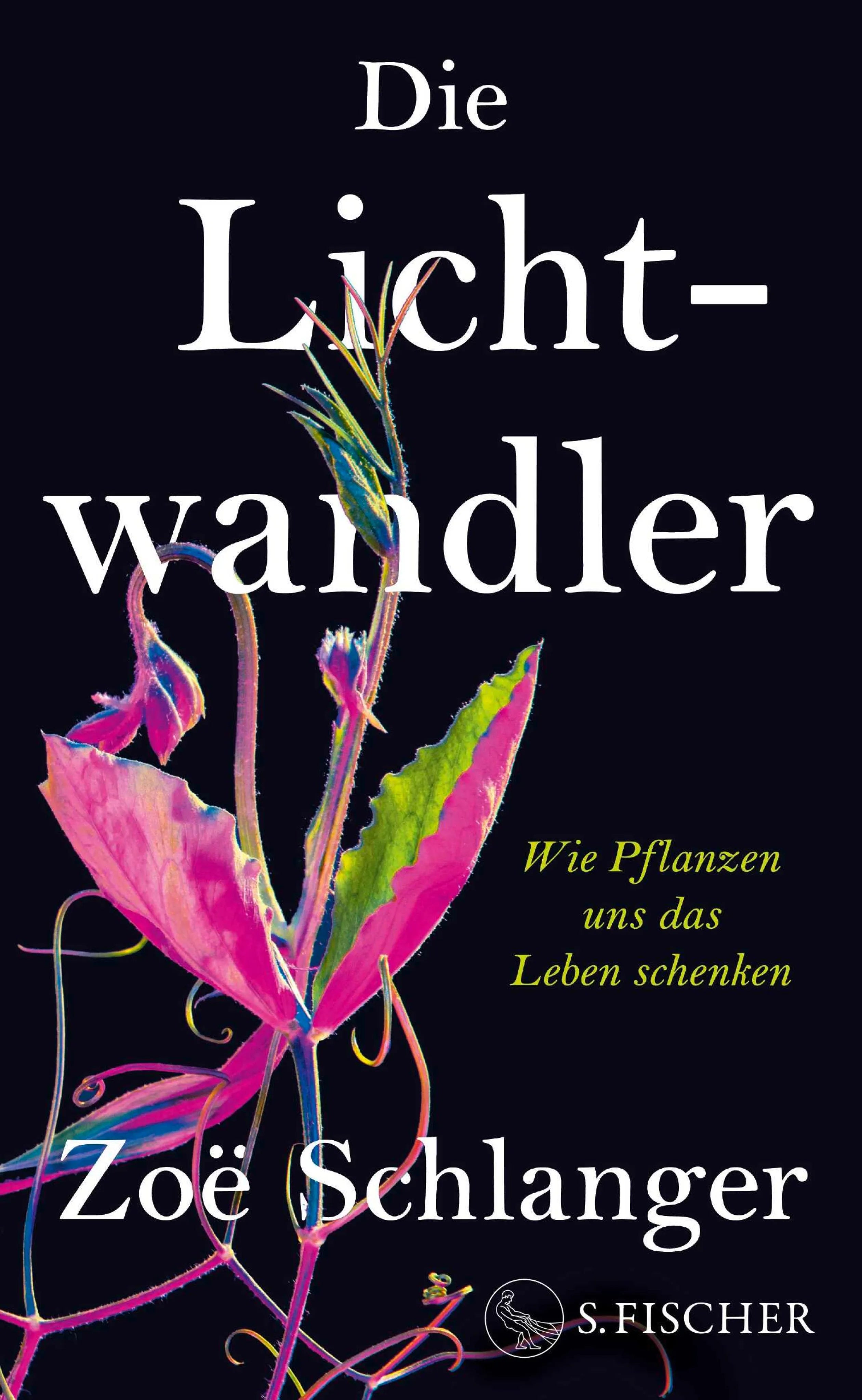 Cover: Die Lichtwandler (E-Book) von Zoë Schlanger