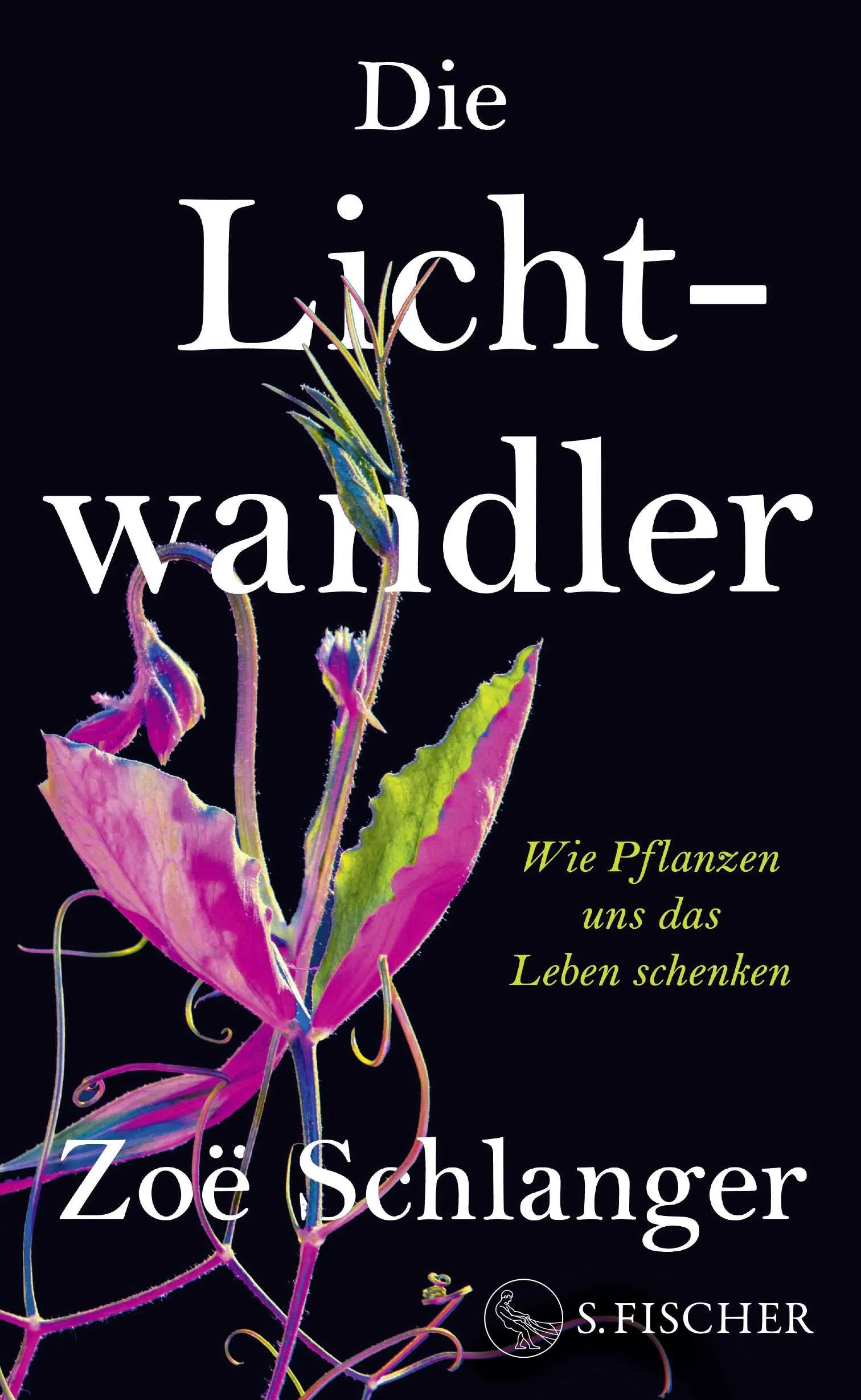 Buchcover von 'Die Lichtwandler' - Gebundene Ausgabe von Zoë Schlanger