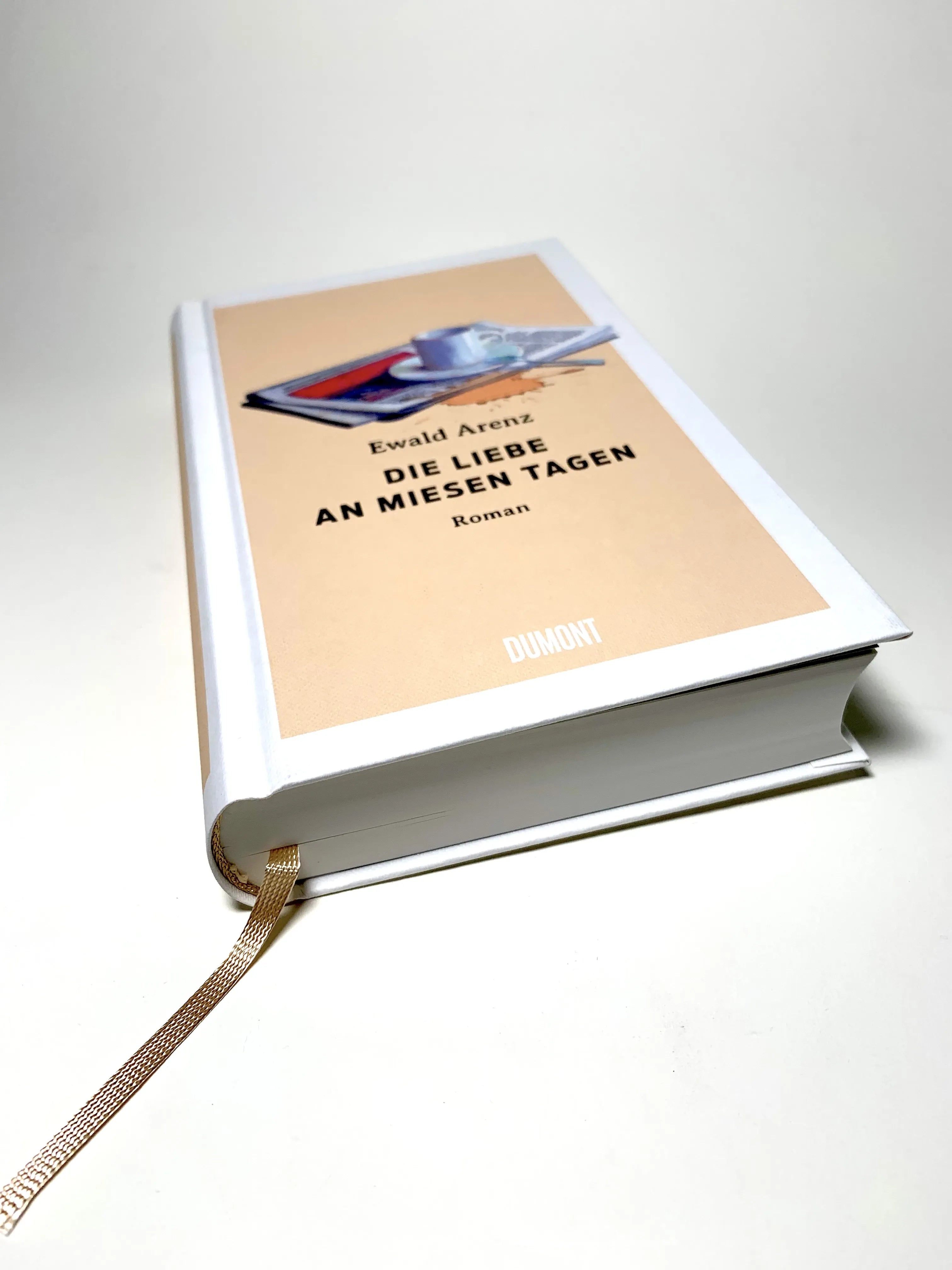 Produktansicht: Die Liebe an miesen Tagen (Gebundene Ausgabe)