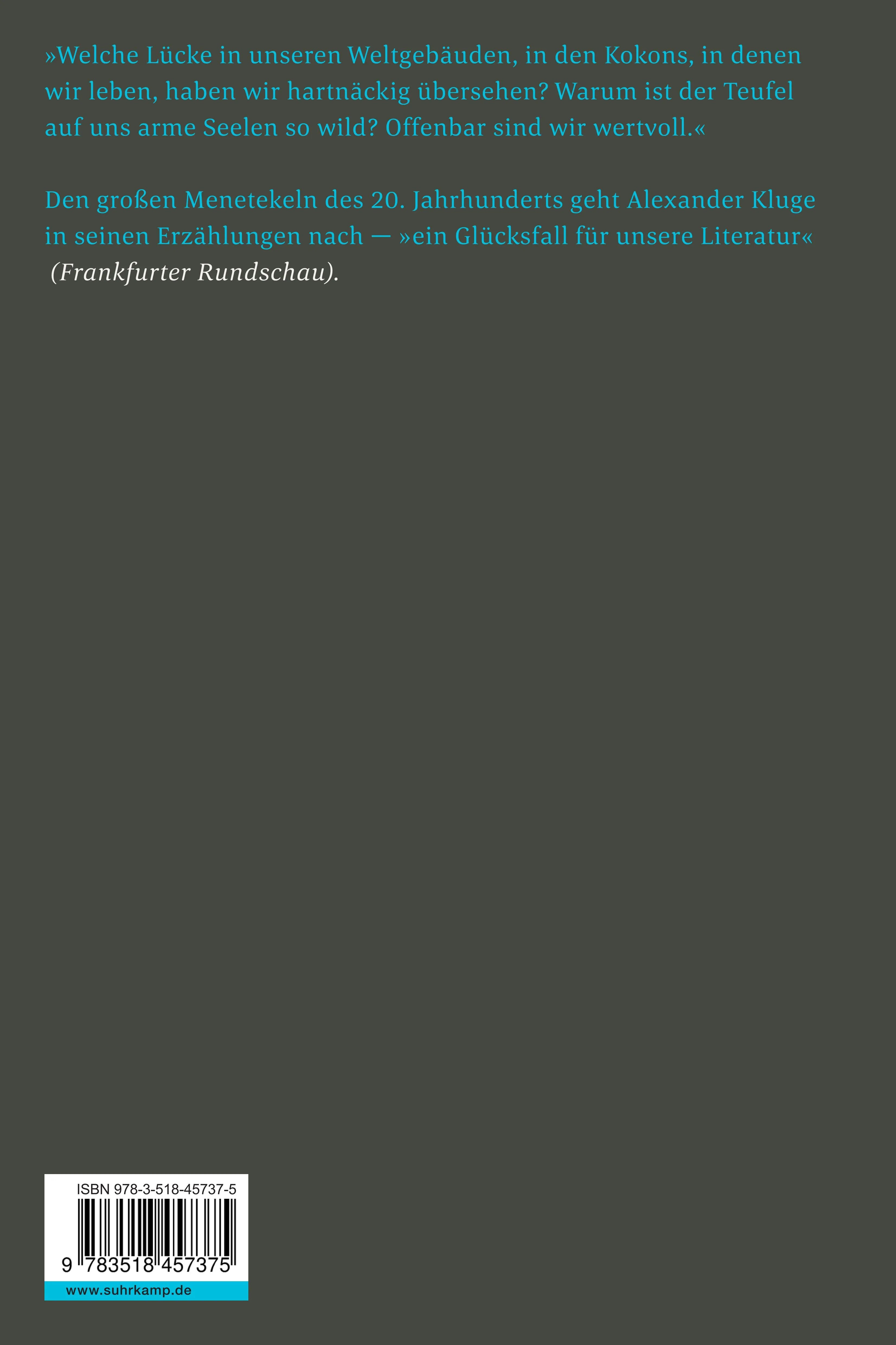 Buchrückseite von 'Die Lücke, die der Teufel läßt' mit Klappentext - Taschenbuch
