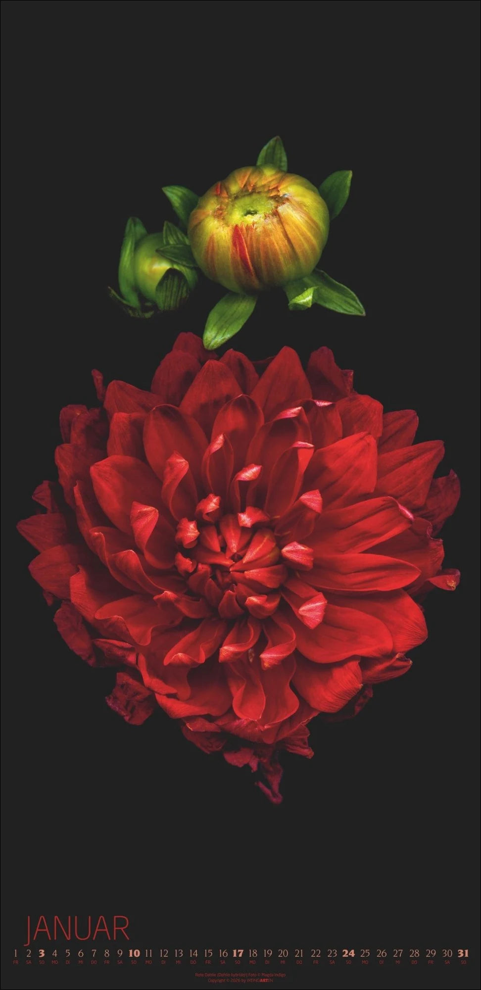 Die Magie der Blumen Kalender 2027 – Ansicht