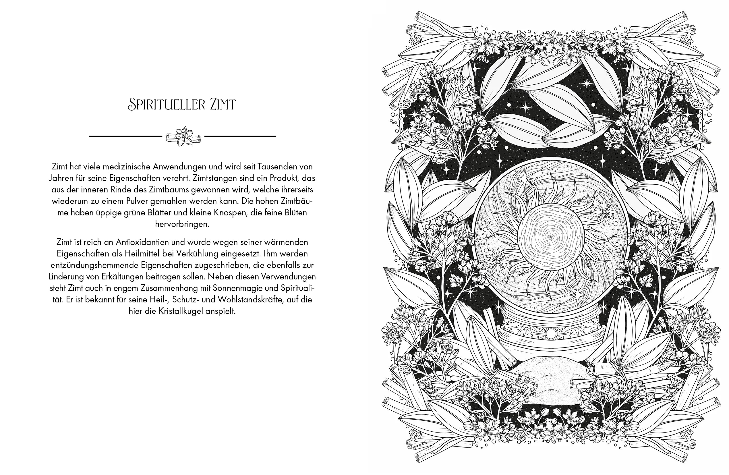 Innenansicht von 'Die Magie der Natur' - Taschenbuch