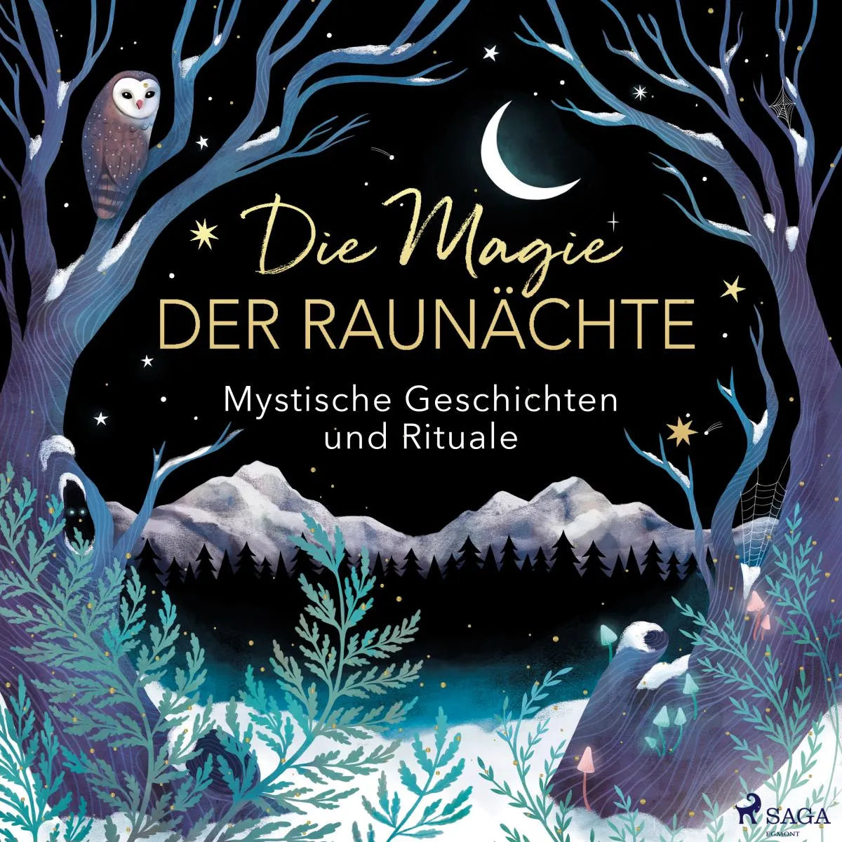 Cover: Die Magie der Raunächte (Hörbuch Download) von Petra Braun
