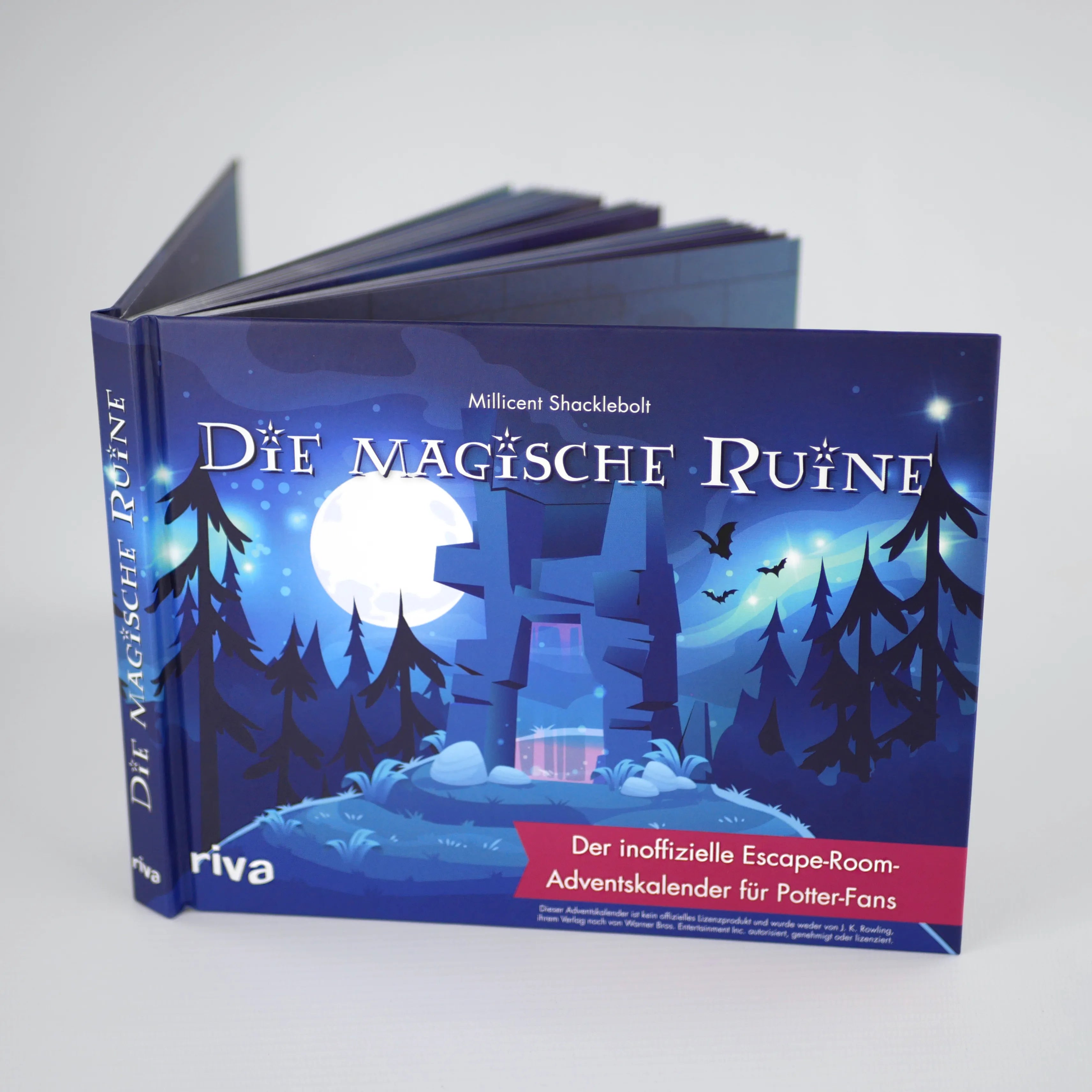 Innenansicht von 'Die magische Ruine' - Gebundene Ausgabe