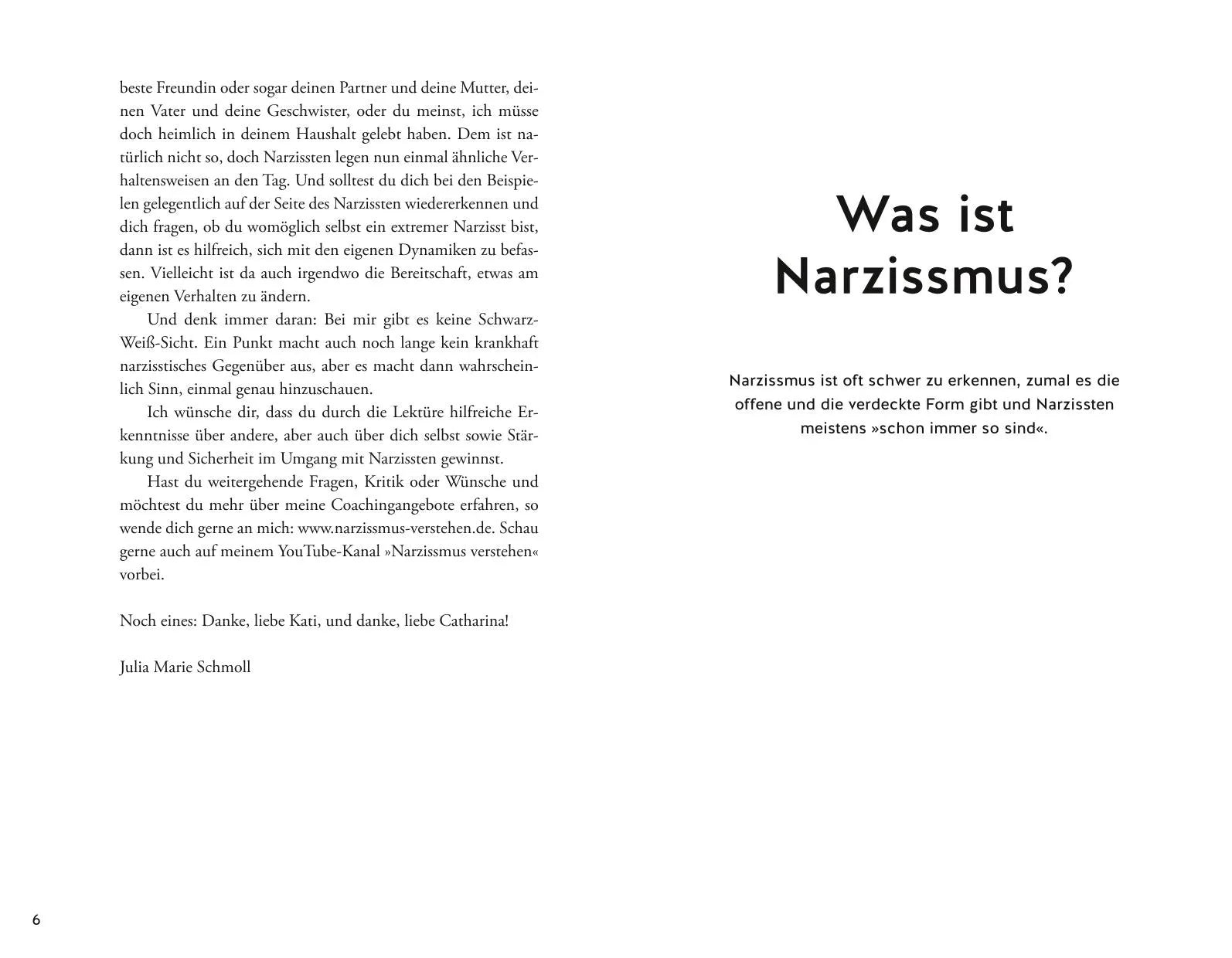 Produktansicht: Die Maschen der Narzissten (Taschenbuch)