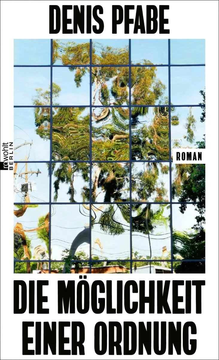 Cover: Die Möglichkeit einer Ordnung (E-Book) von Denis Pfabe