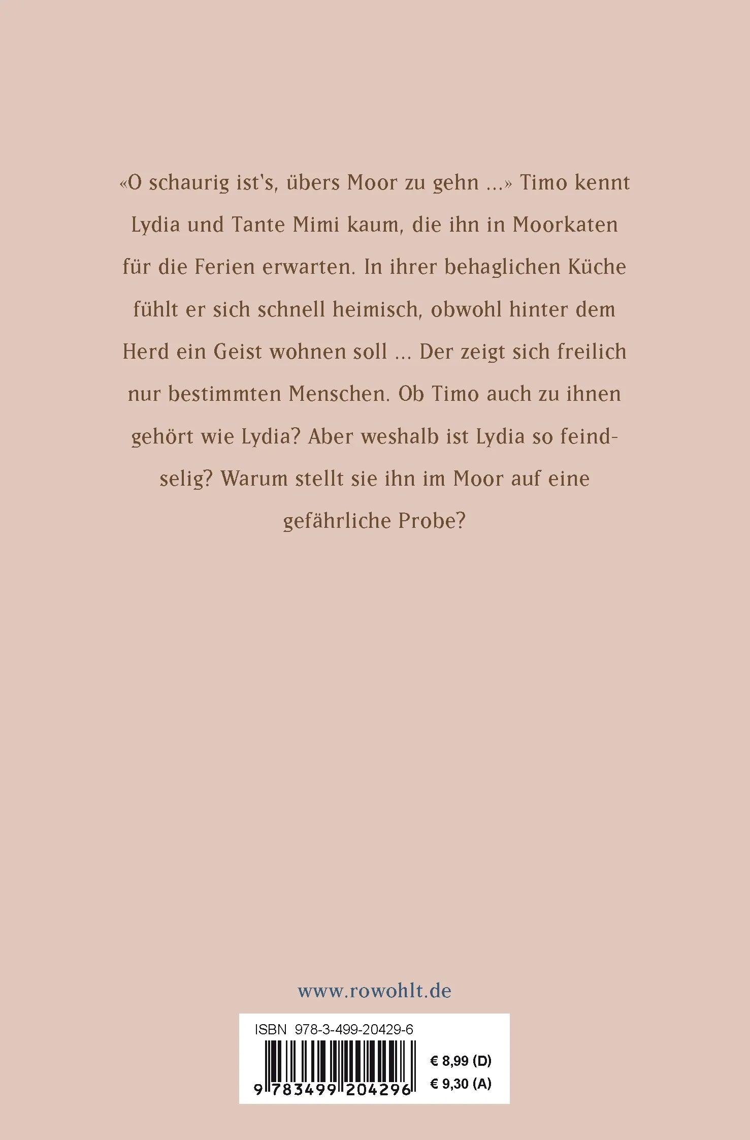 Buchrückseite von 'Die Moorgeister' mit Klappentext - Taschenbuch