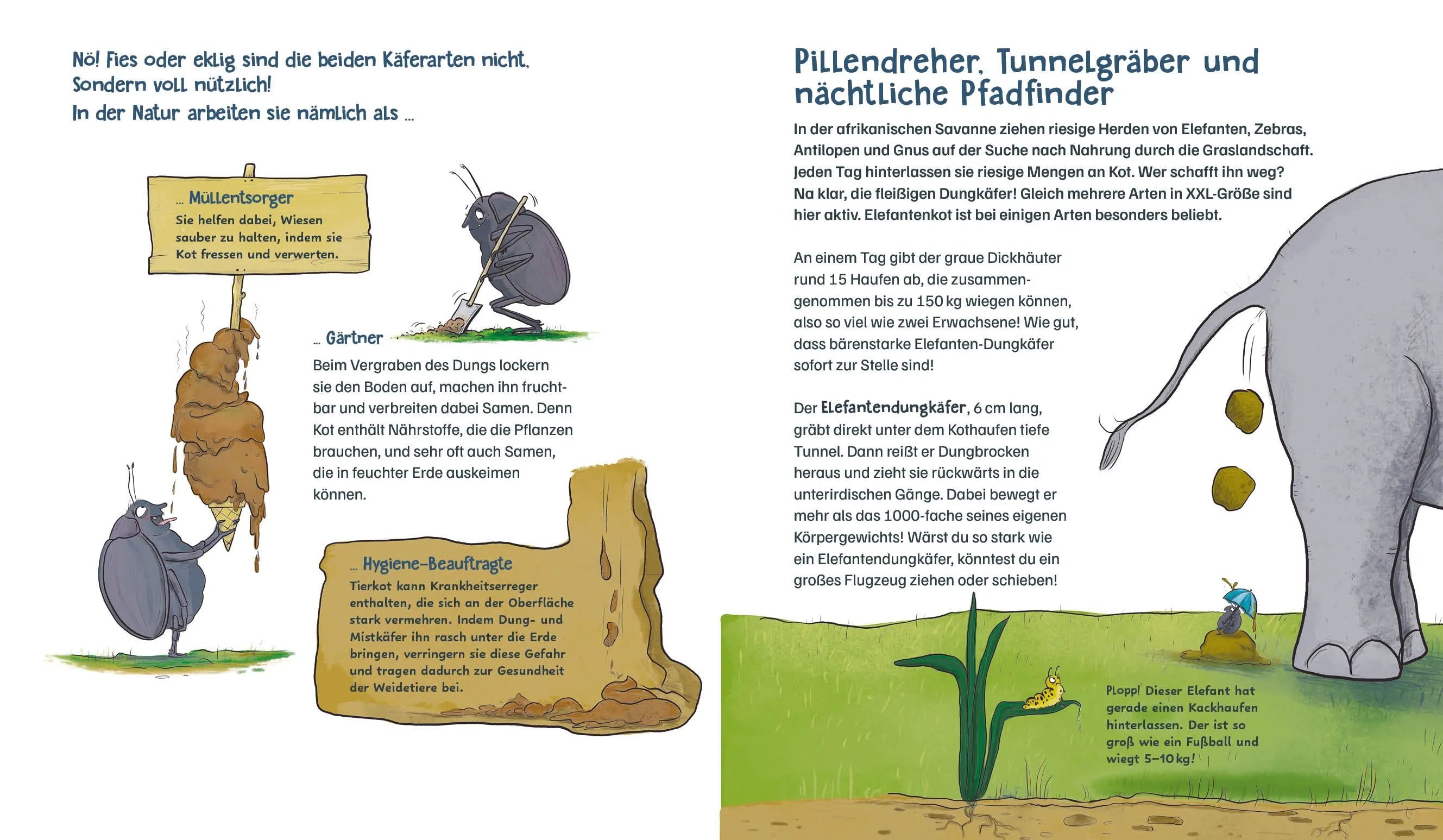 Detailansicht: Die Müllabfuhr in der Natur – Alles über Mistkäfer und Co. (Hardcover)