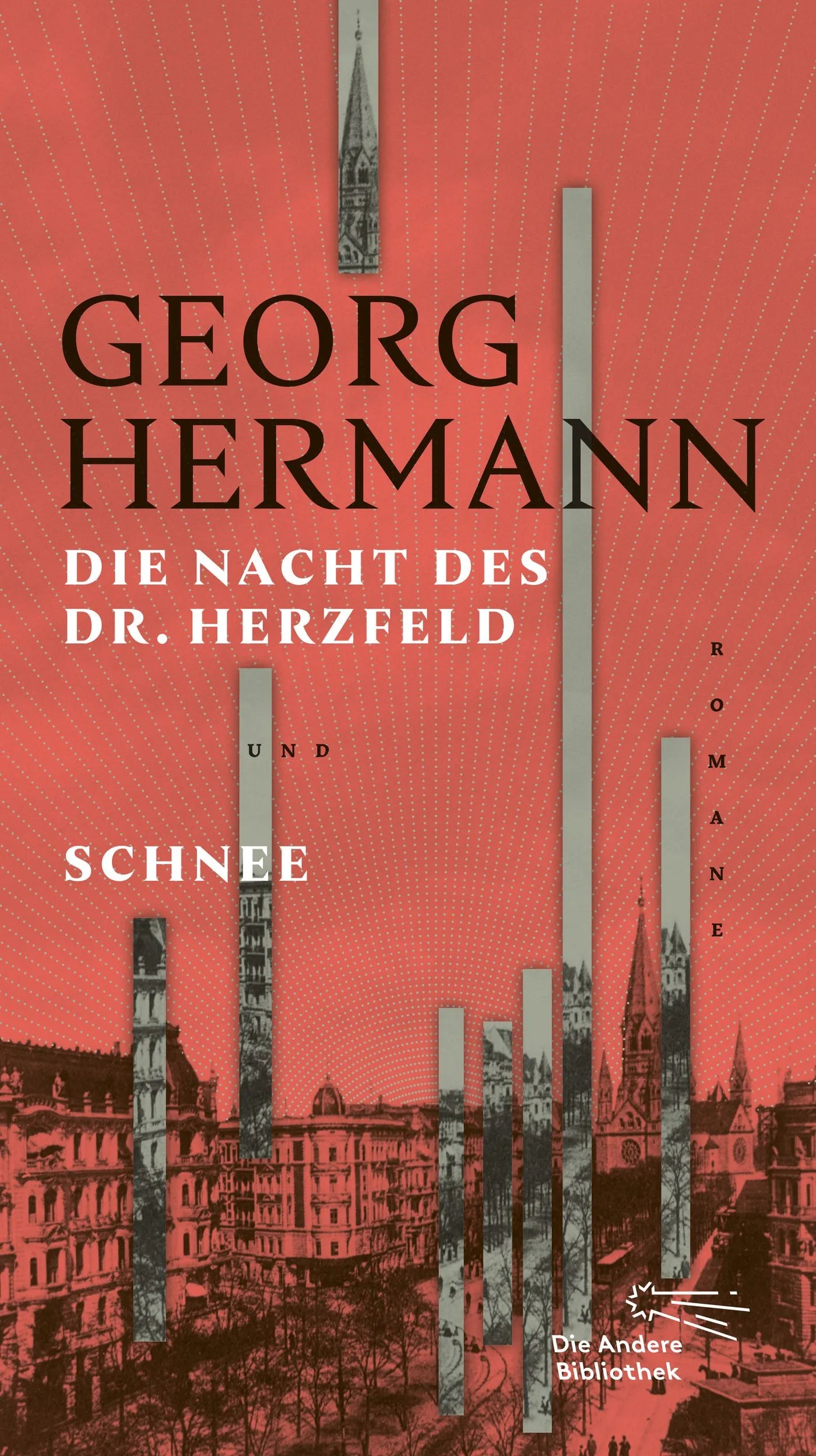 Buchcover von 'Die Nacht des Dr. Herzfeld & Schnee' - Gebundene Ausgabe von Georg Hermann