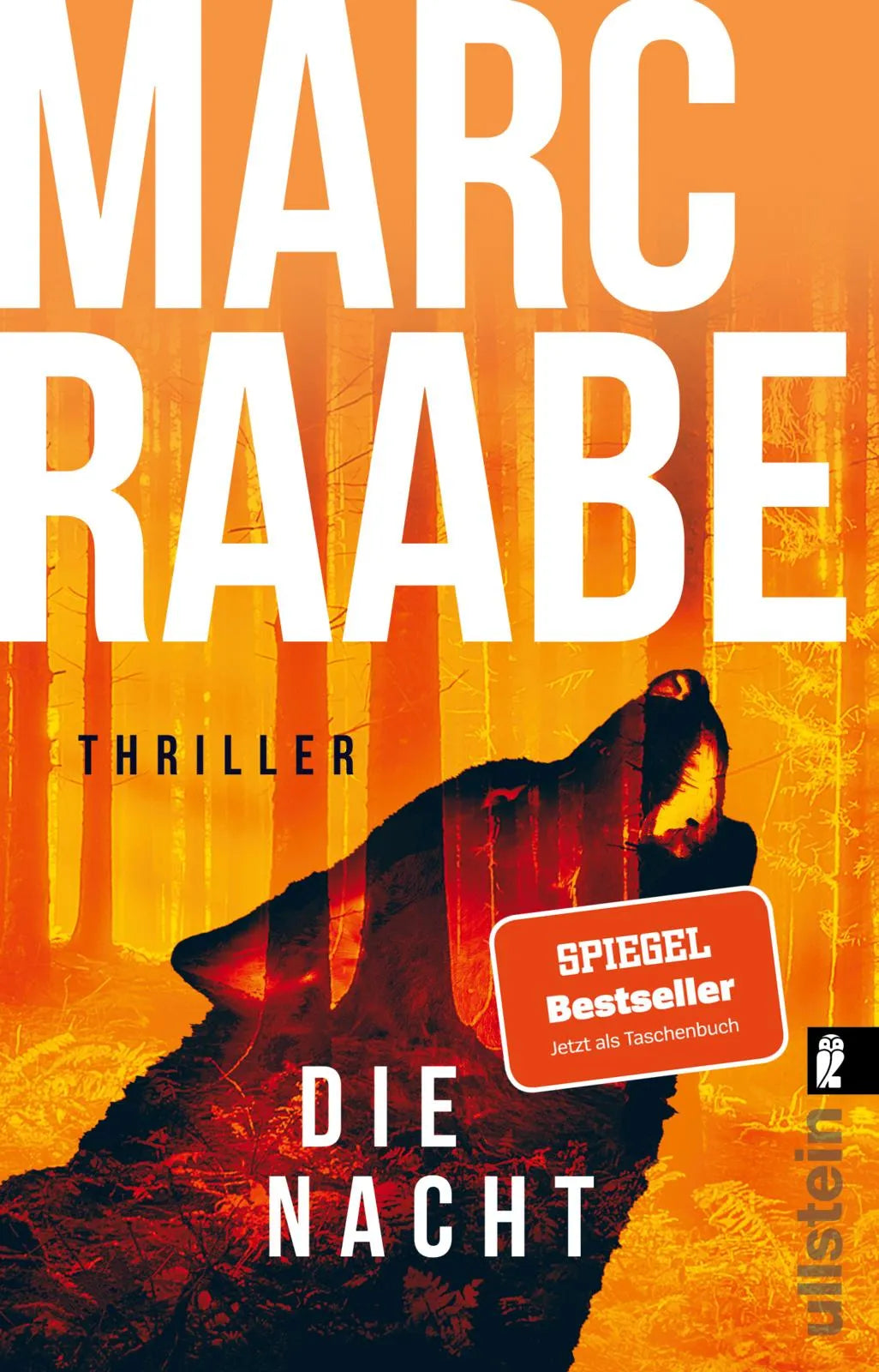 Buchcover von 'Die Nacht' - Taschenbuch von Marc Raabe