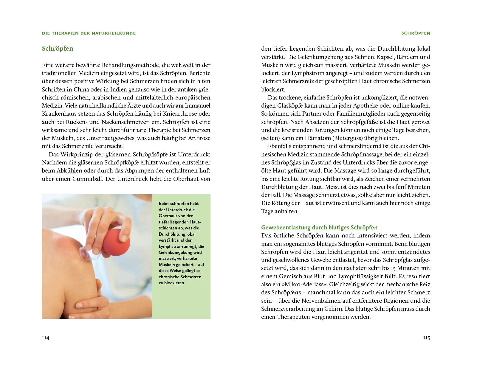 Produktansicht: Die Natur-Docs – Meine besten Heilmittel für Gelenke. Arthrose, Rheuma und Schmerzen (Gebundene Ausgabe)