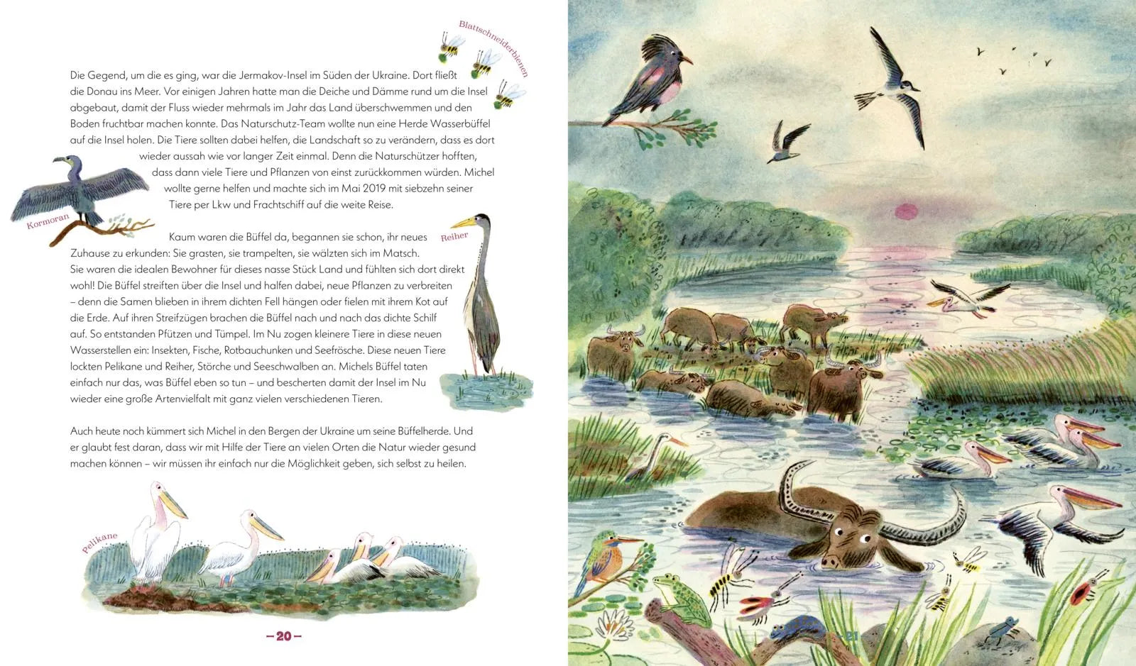 Detailansicht: Die Natur kehrt zurück (Hardcover)