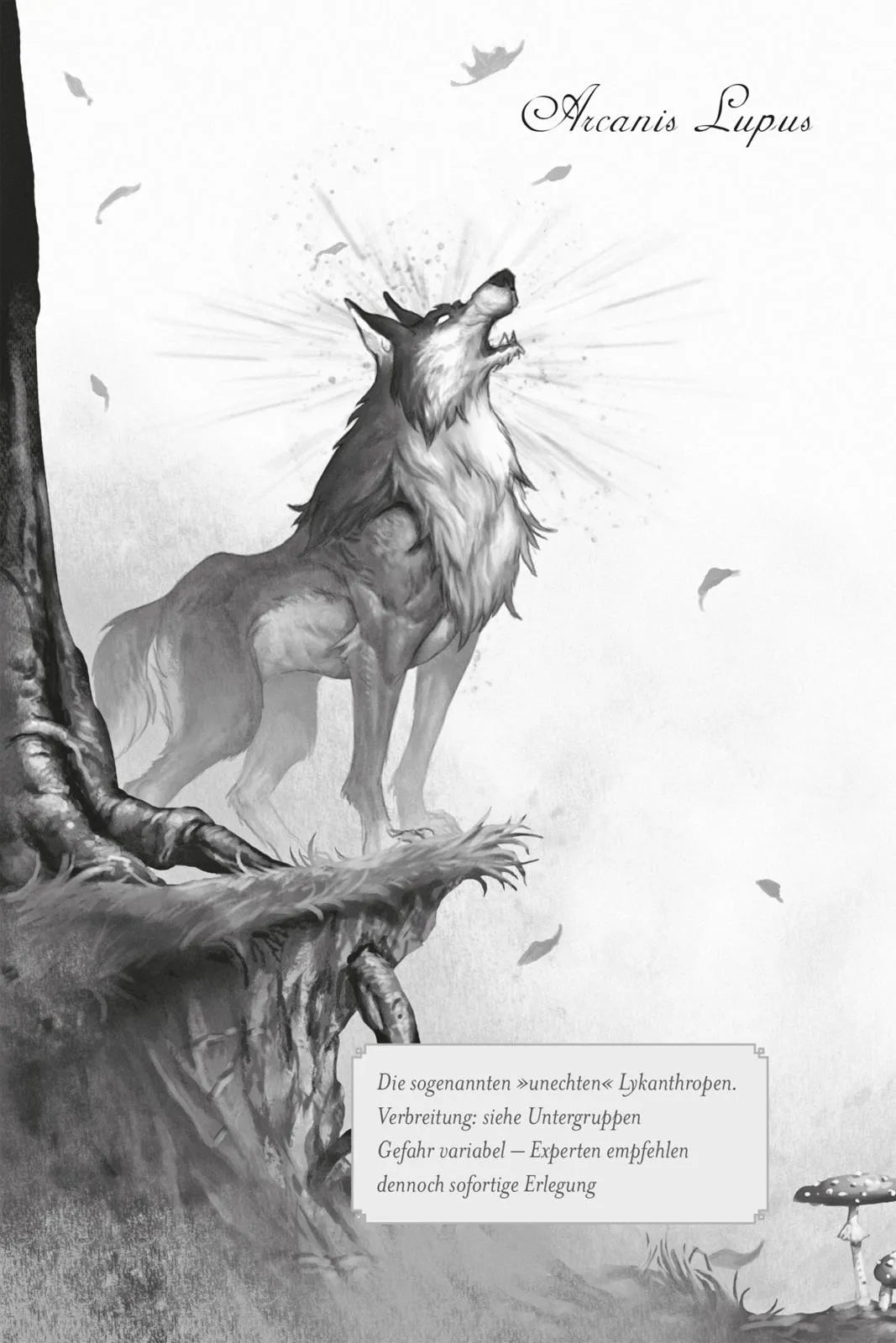 Detailansicht: Die Oaknight-Chroniken 1: Werwolfjagd ist Familiensache (Taschenbuch)