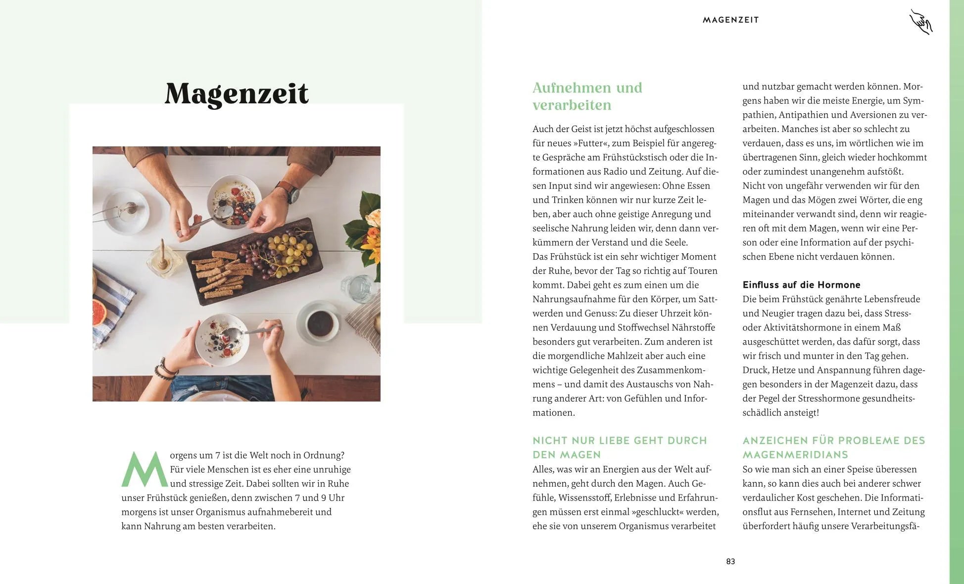 Produktansicht: Die Organuhr (Taschenbuch)