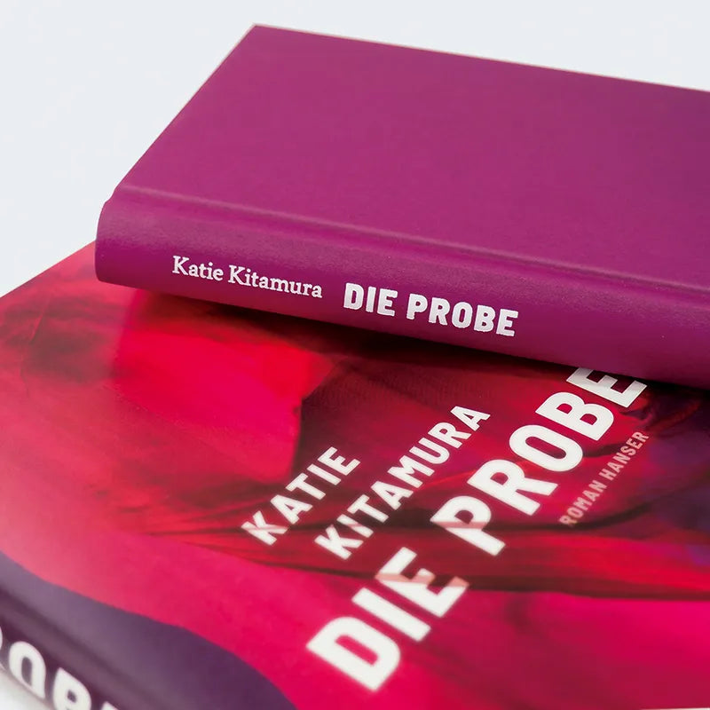 Katie Kitamura - Die Probe