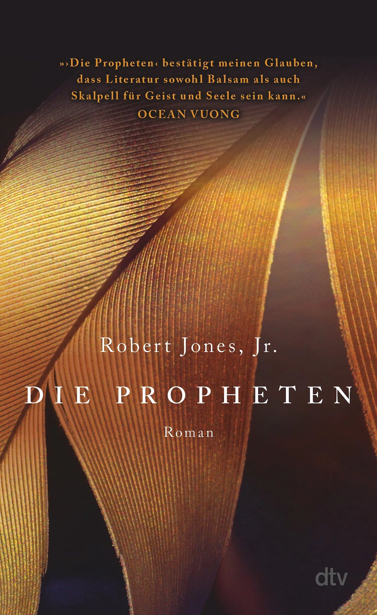 Buchcover von 'Die Propheten' - Gebundene Ausgabe von Robert Jones Jr.