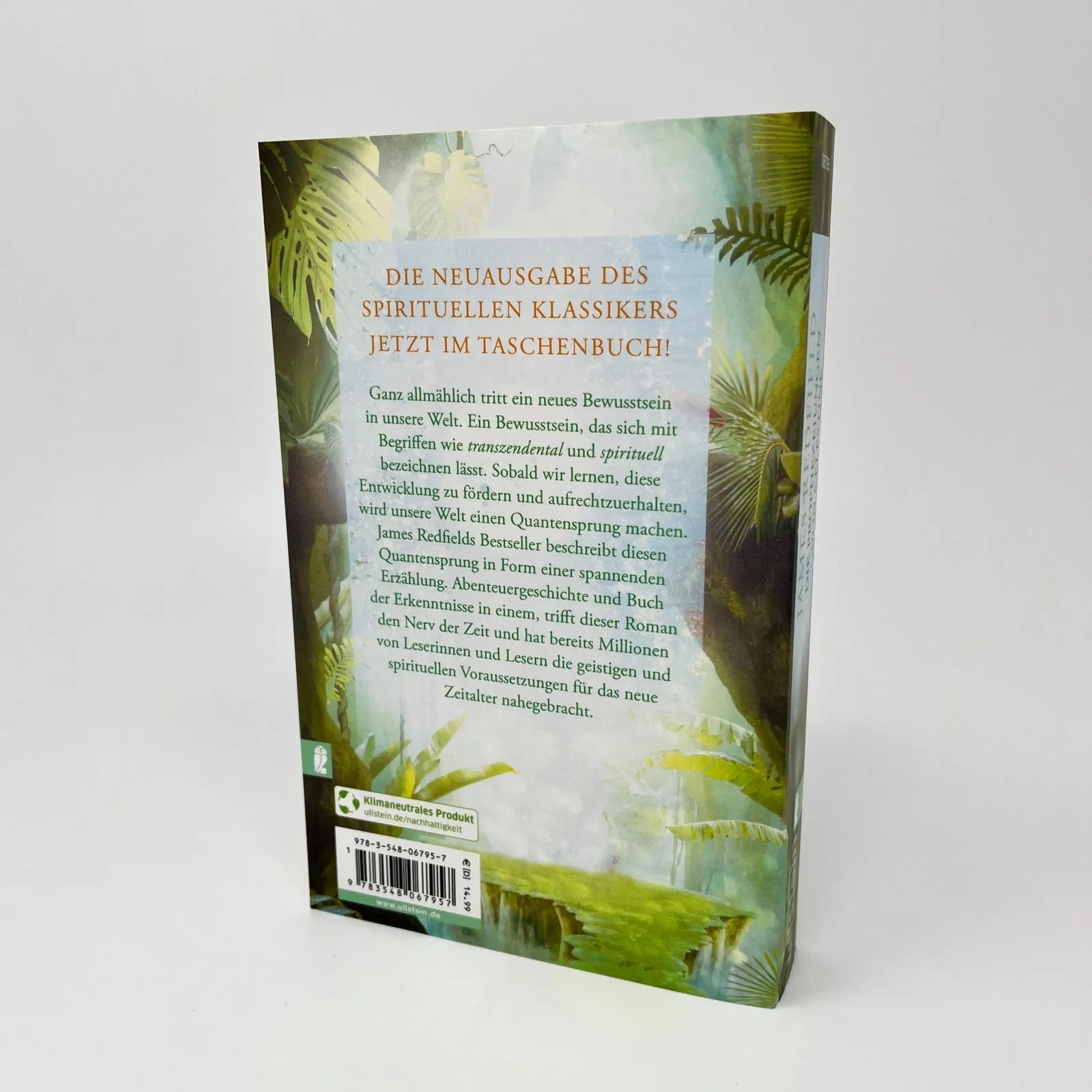 Abbildung von 'Die Prophezeiungen von Celestine'