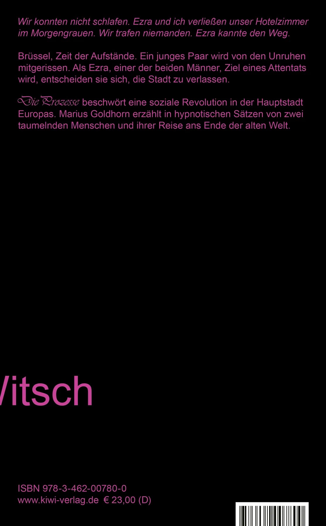 Buchrückseite von 'Die Prozesse' mit Klappentext - Gebundene Ausgabe