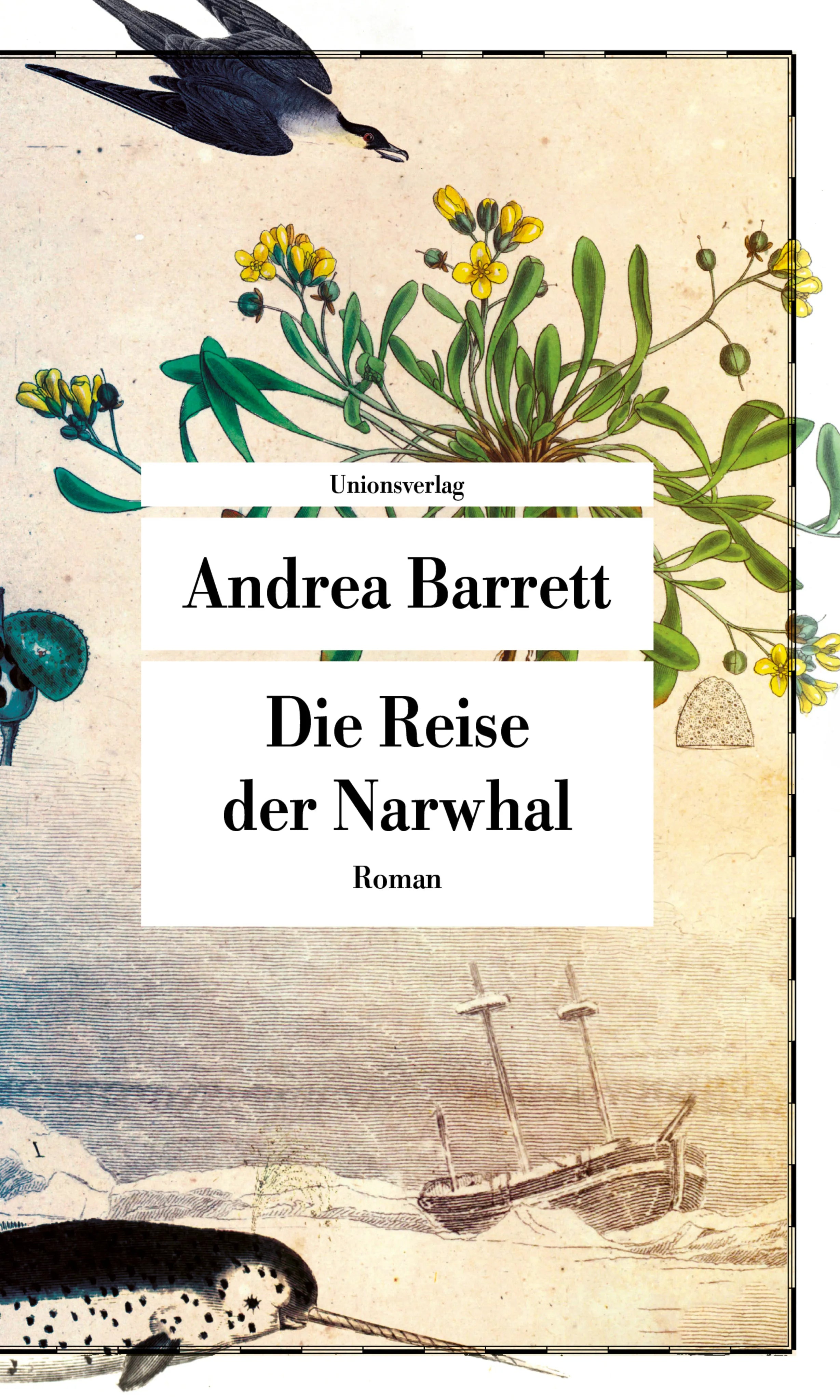 Buchcover von 'Die Reise der Narwhal' - Taschenbuch von Andrea Barrett