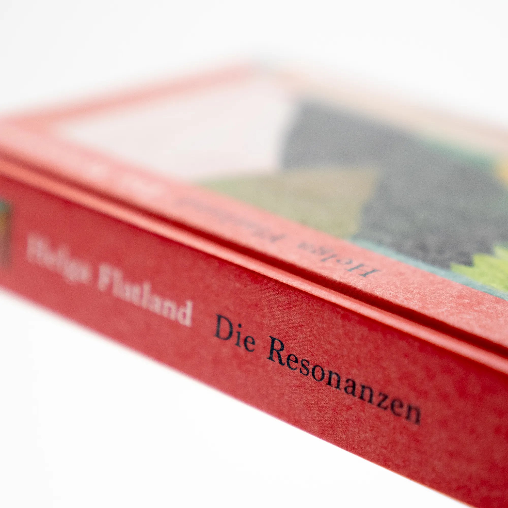 Produktansicht: Die Resonanzen (Gebundene Ausgabe)