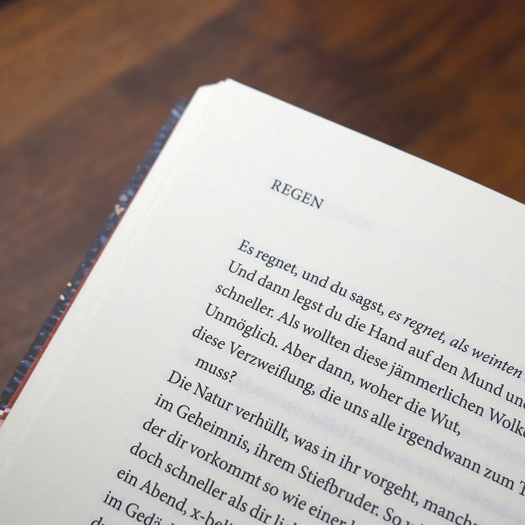 Roberto Bolaño - Die romantischen Hunde