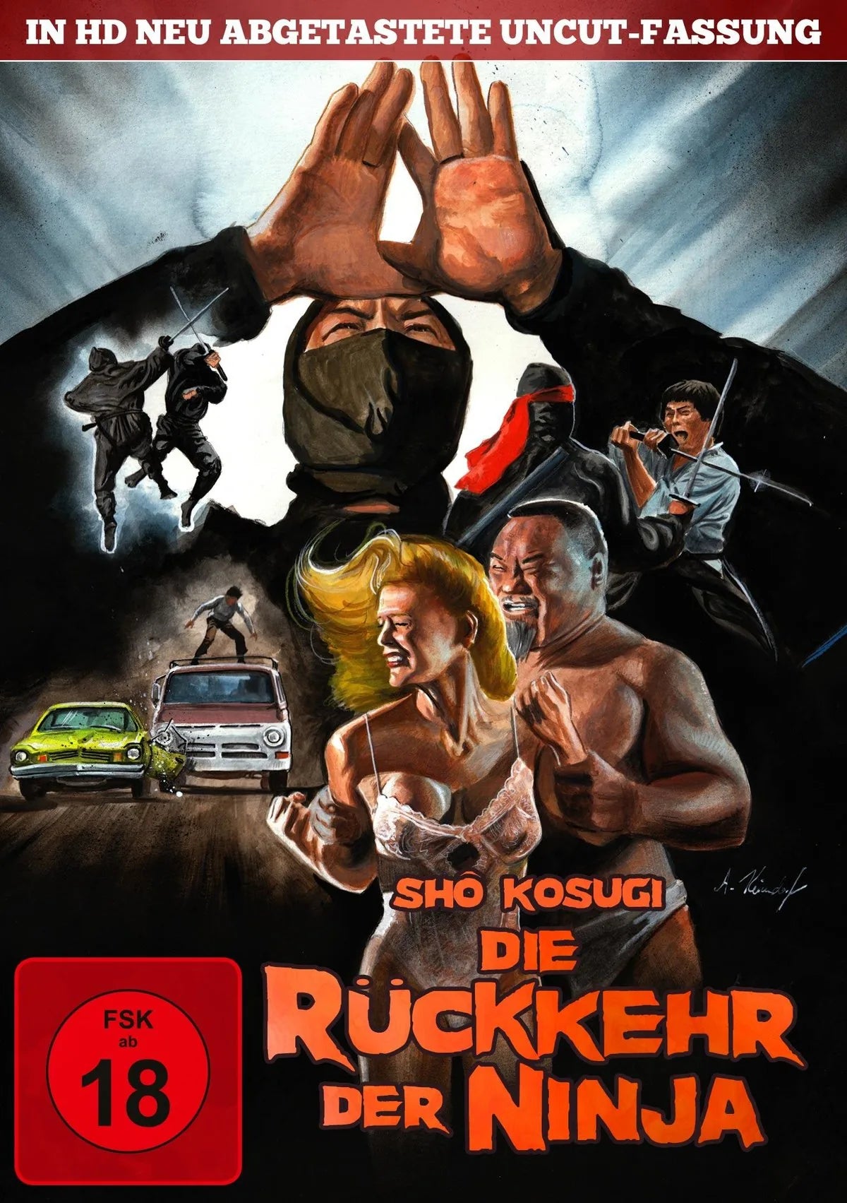 Die Rückkehr der Ninja - DVD