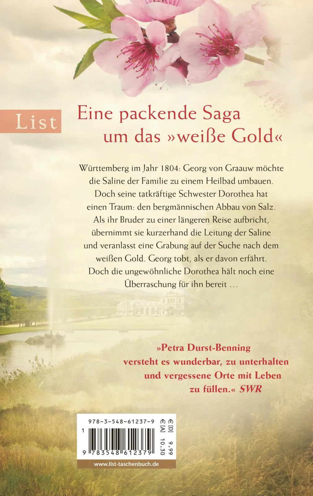 Rückseite: Die Salzbaronin (Taschenbuch)