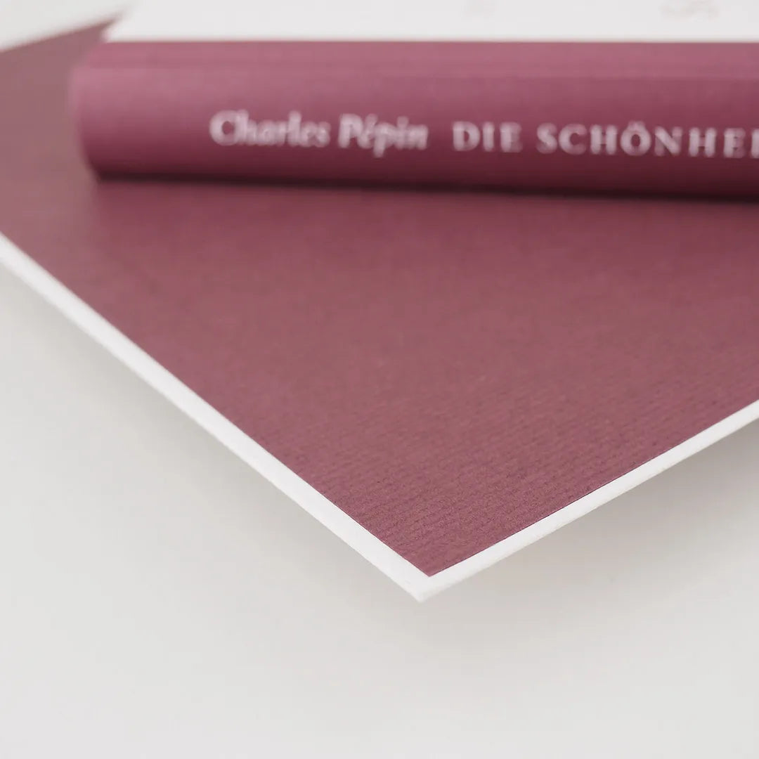 Charles Pépin - Die Schönheit des Scheiterns