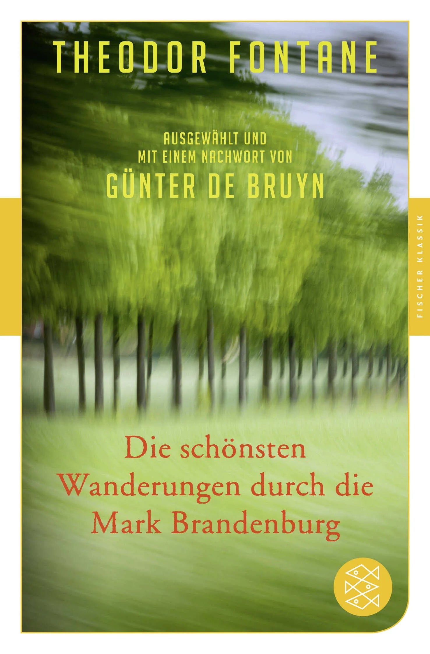 Buchcover von 'Die schönsten Wanderungen durch die Mark Brandenburg' - Taschenbuch von Theodor Fontane