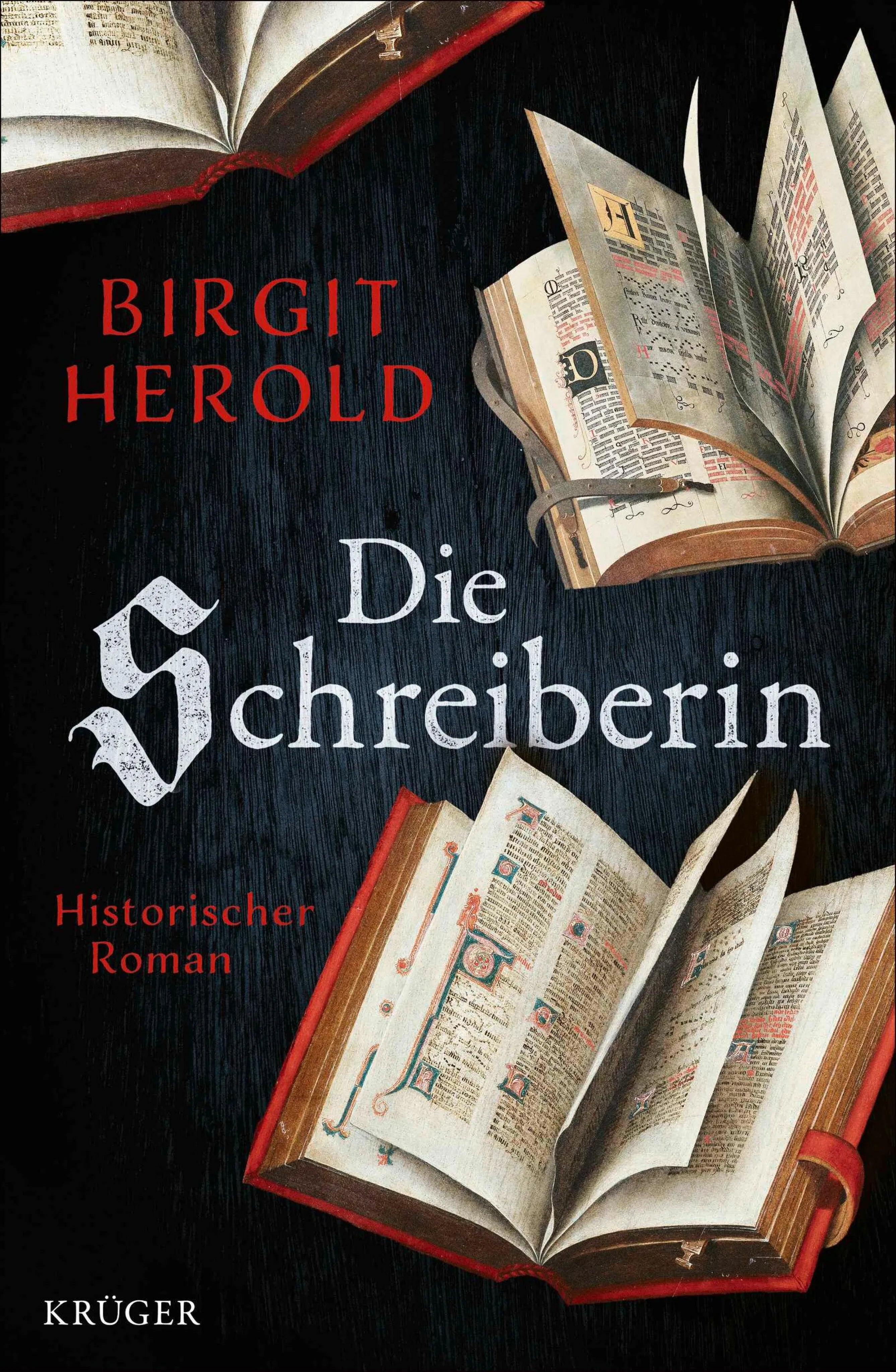 Cover: Die Schreiberin (E-Book) von Birgit Herold