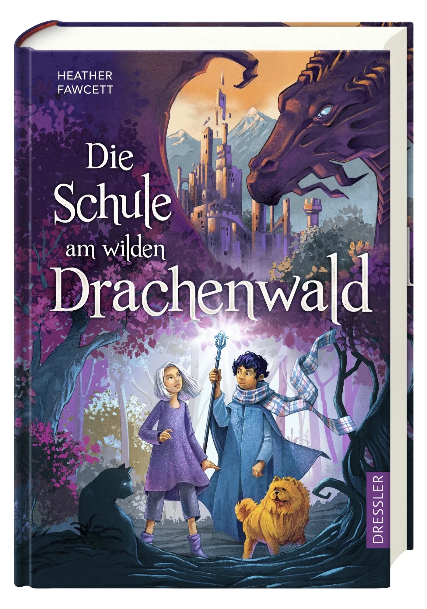 Detailansicht: Die Schule am wilden Drachenwald (Hardcover)