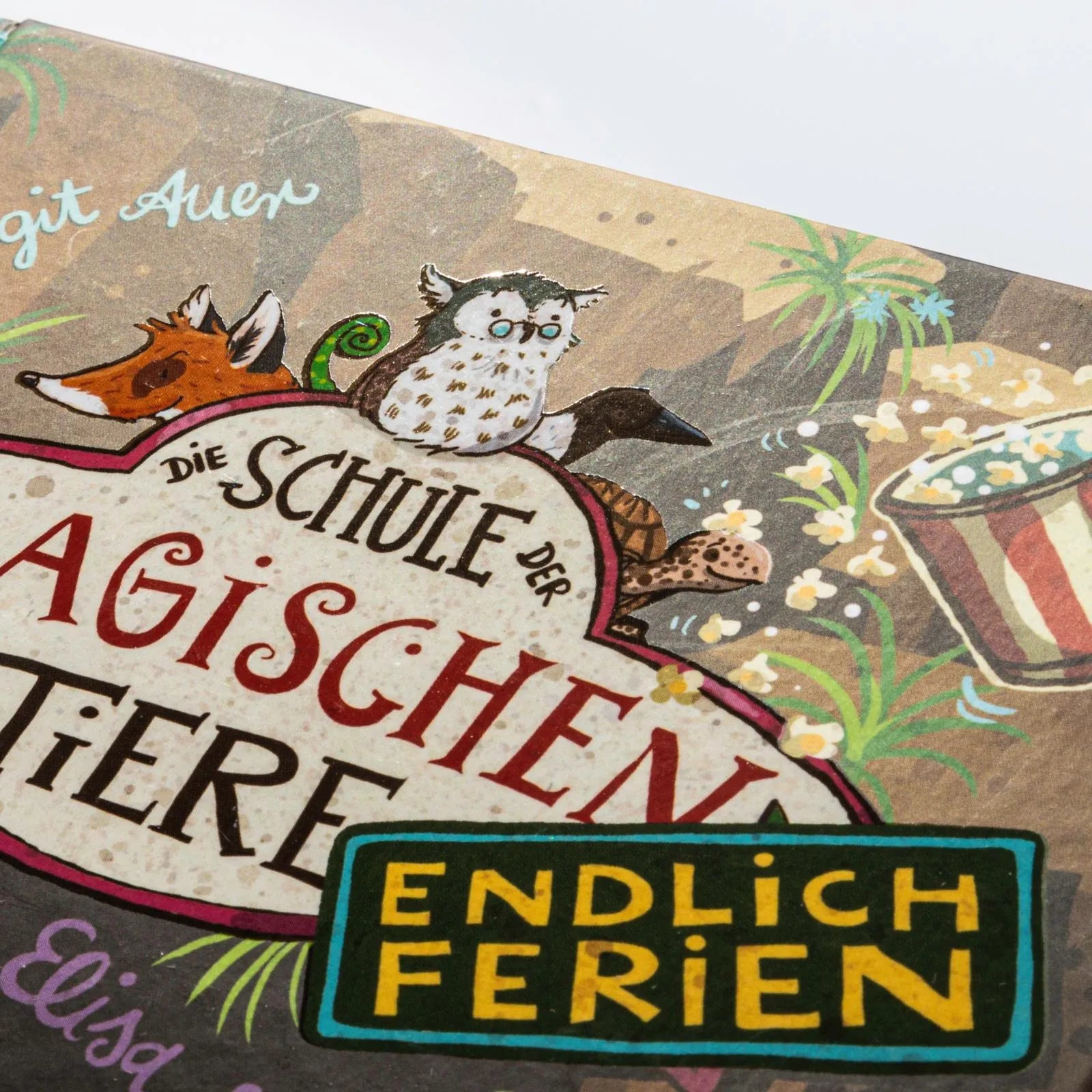 Detailansicht: Die Schule der magischen Tiere. Endlich Ferien 9: Elisa und Silber (Hardcover)