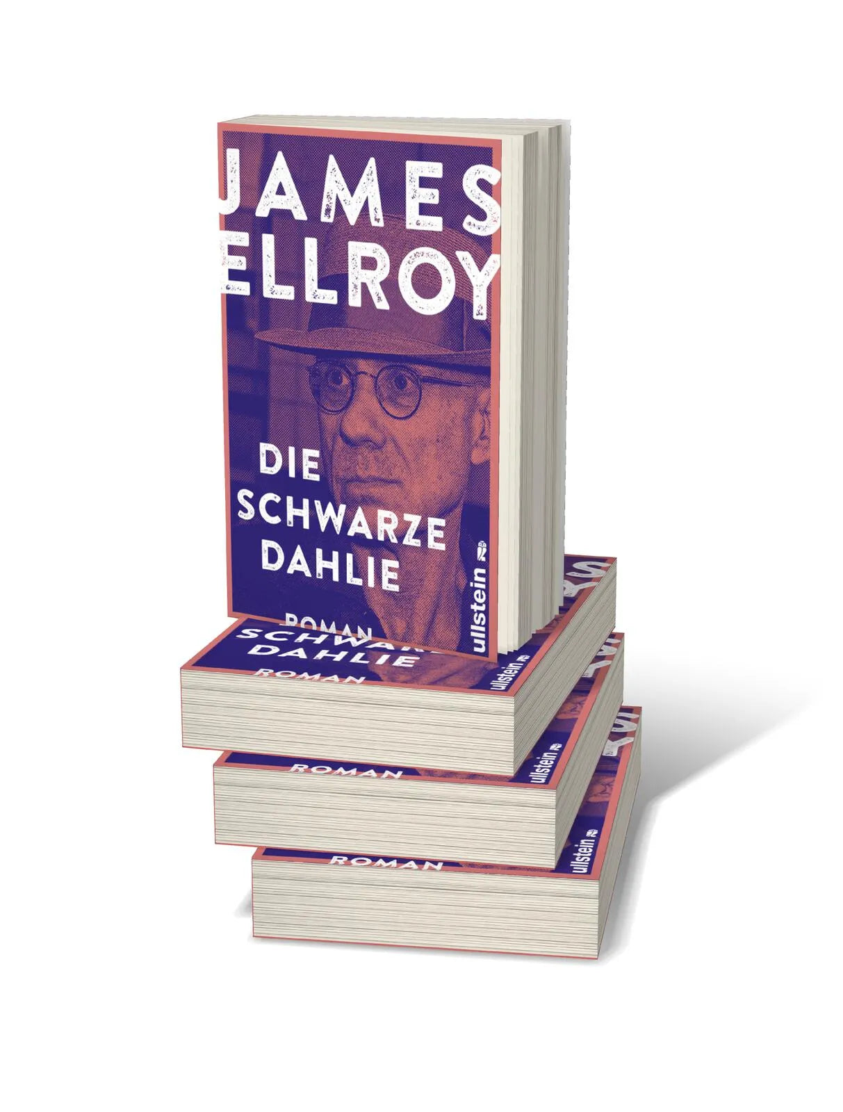 Abbildung von 'Die schwarze Dahlie'