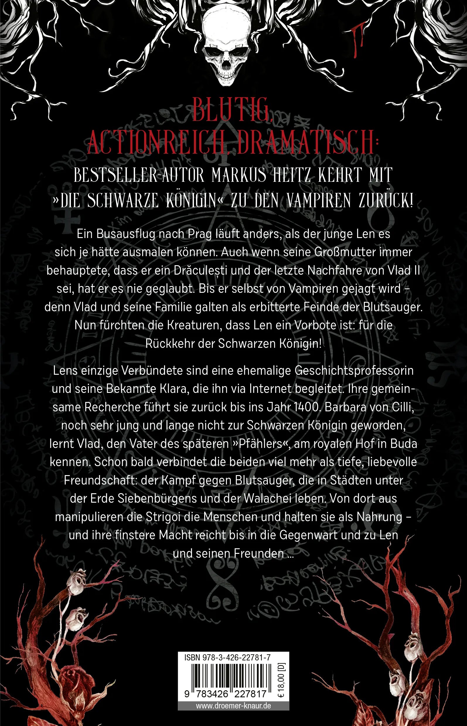 Buchrückseite von 'Die Schwarze Königin I' mit Klappentext - Paperback