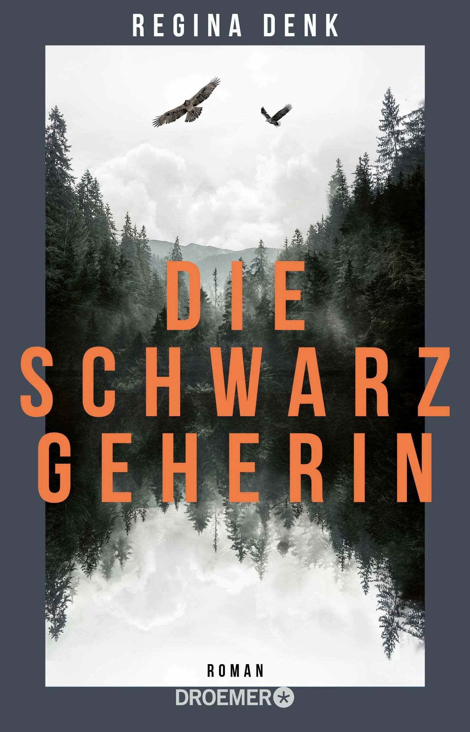 Buchcover von 'Die Schwarzgeherin' - Taschenbuch von Regina Denk